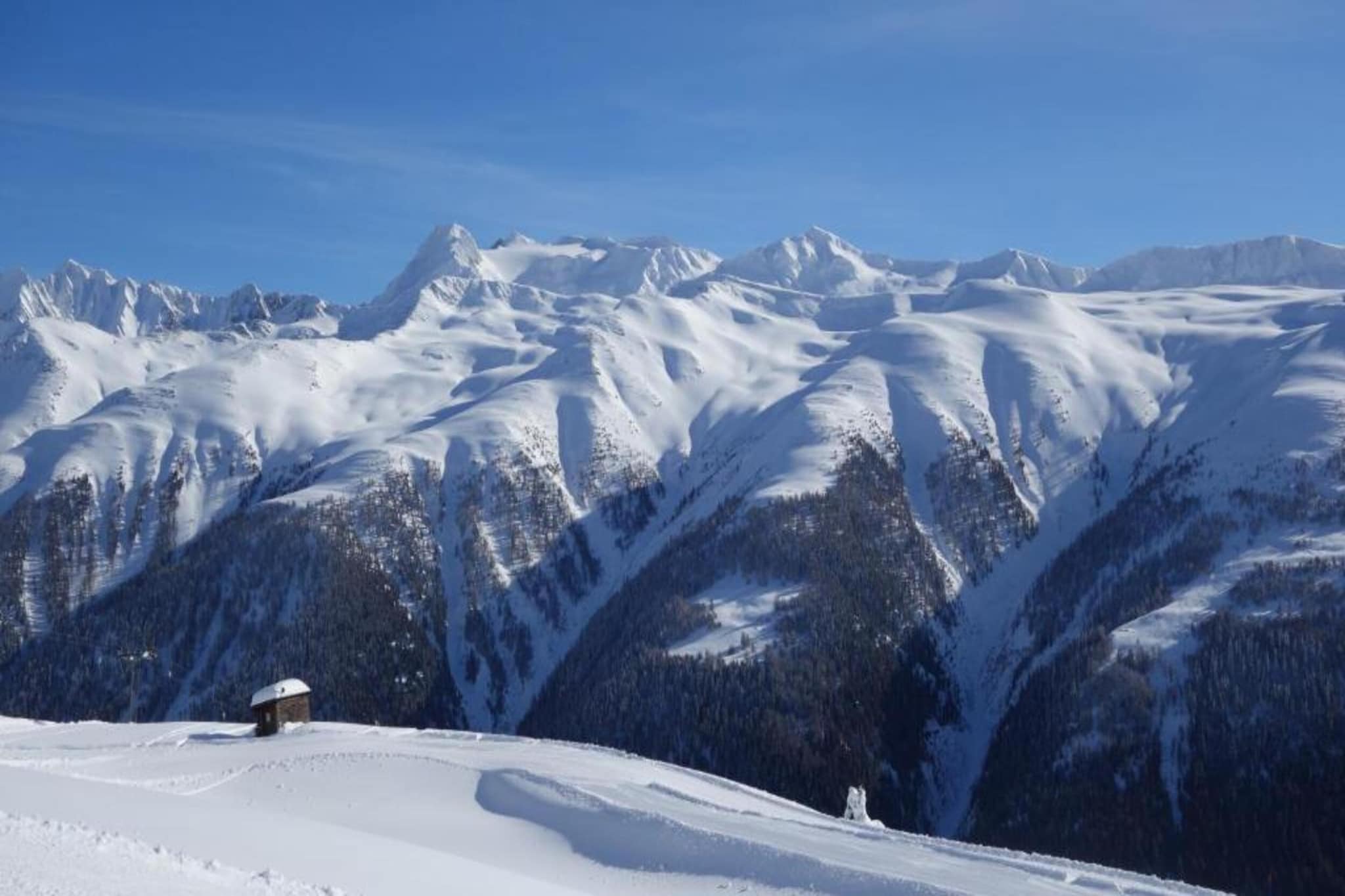 Bel Air-Gebiet Winter 5 km
