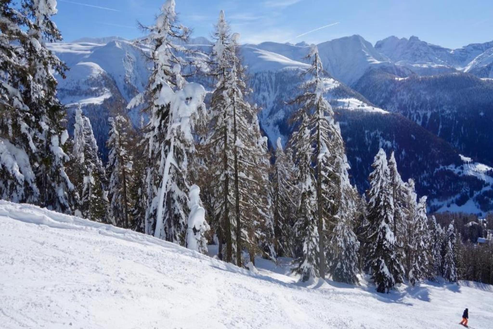 Bel Air-Gebiet Winter 5 km