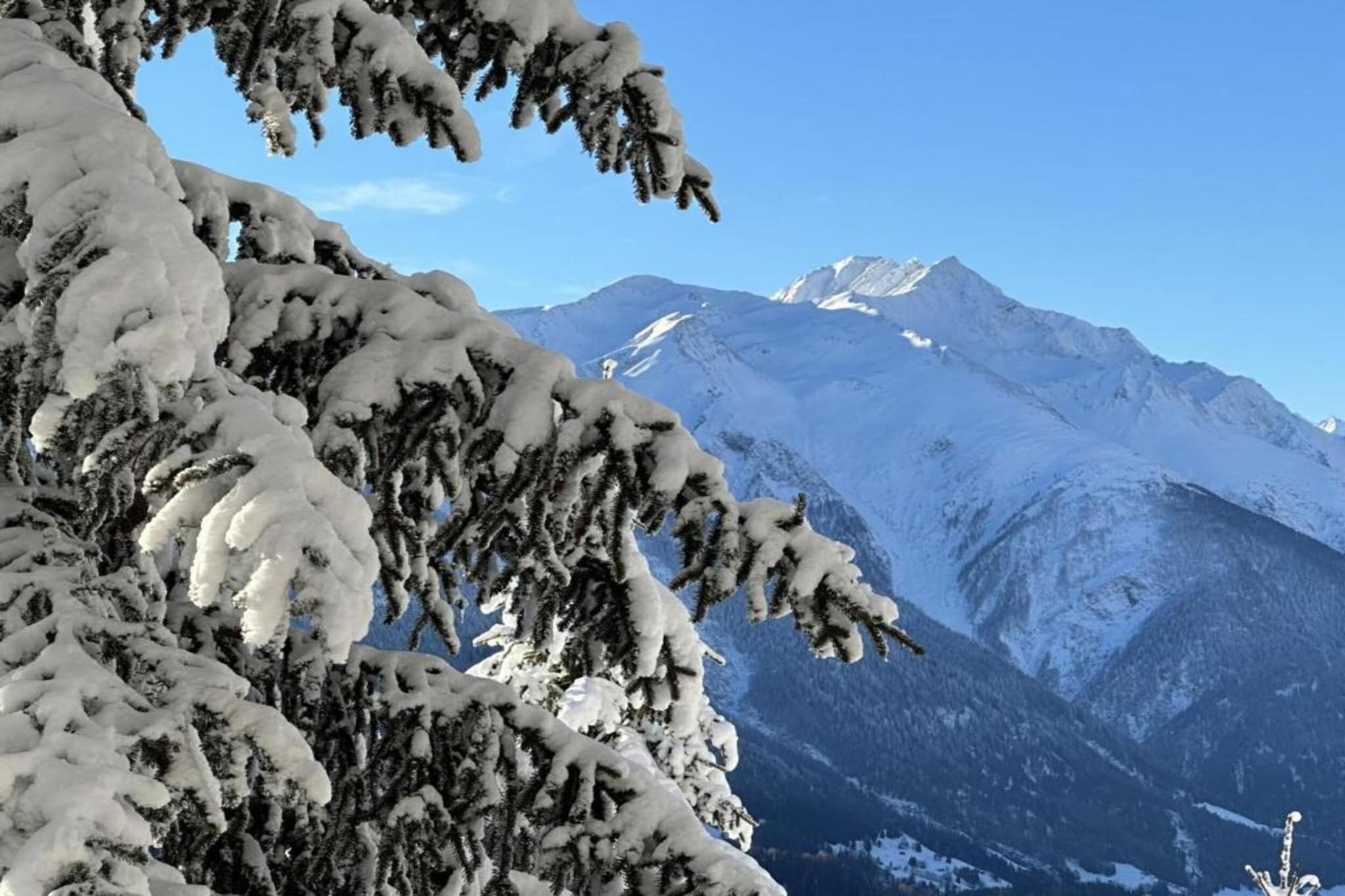 Bel Air-Gebiet Winter 5 km