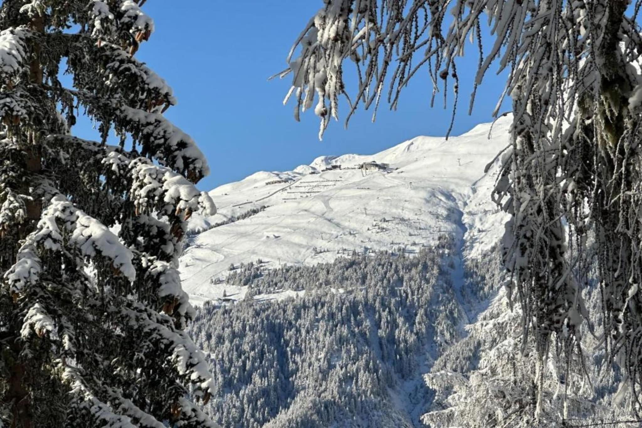 Bel Air-Gebiet Winter 5 km
