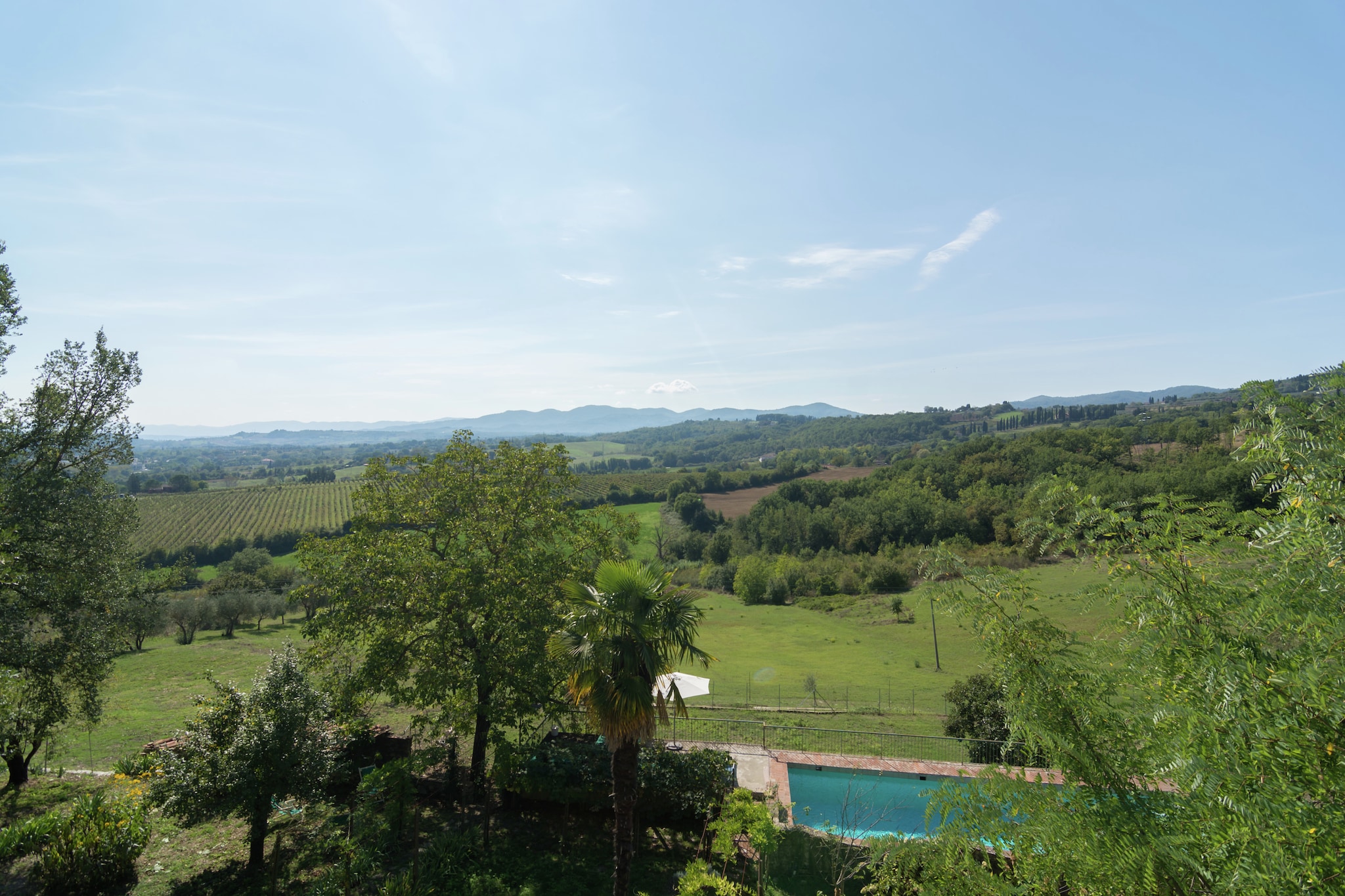 View Summer