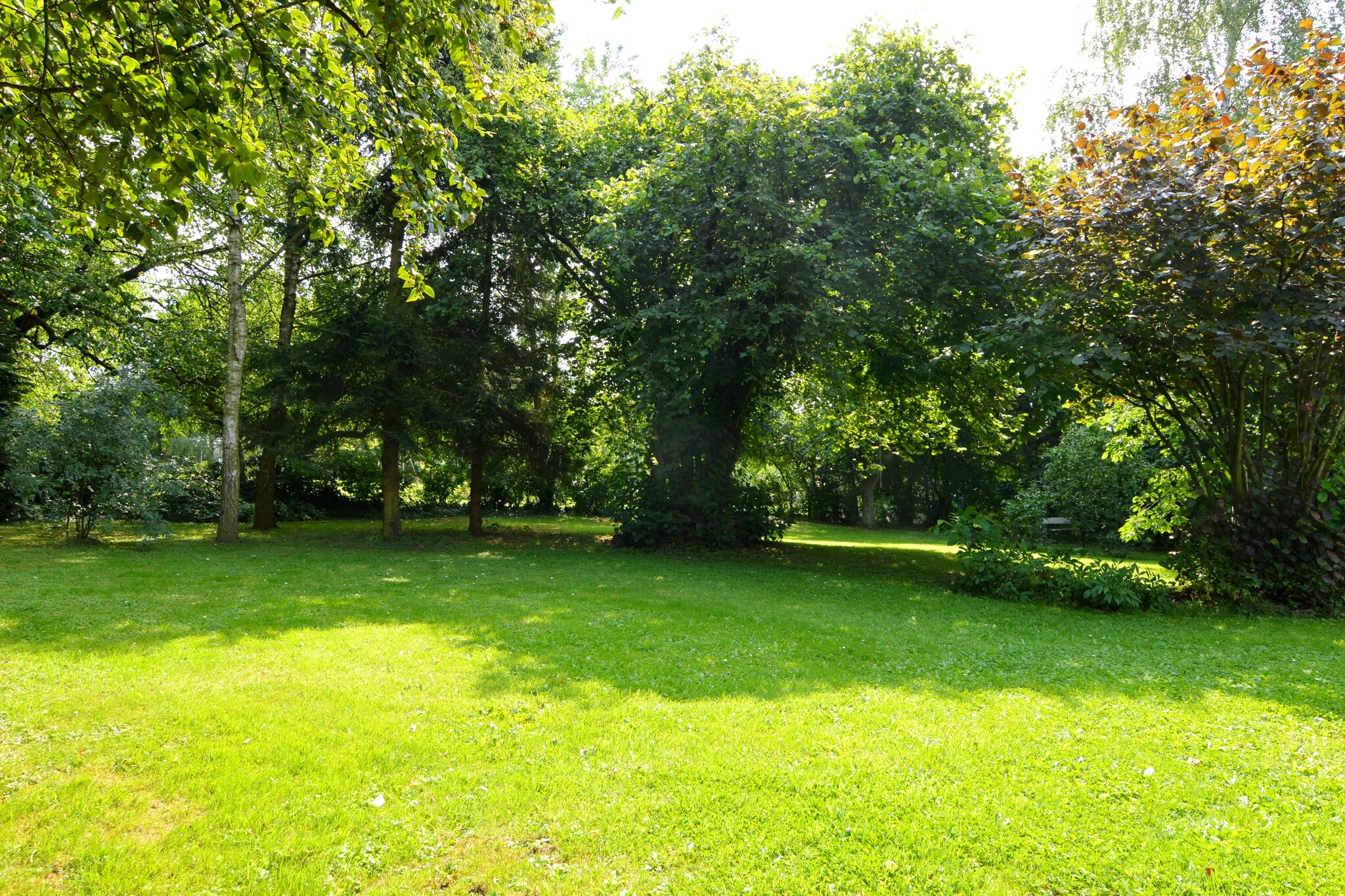 Vakantiehuis Borlon max. 9 personen 6 slaapkamers #39