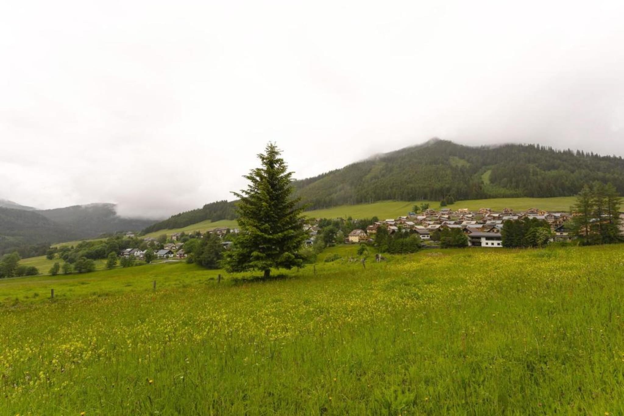 Chalet Zwoade Hoamad-Gebieden zomer 20km