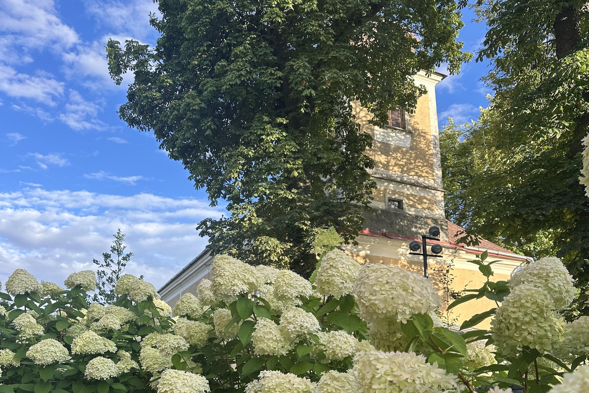 Fara - Tuinen zomer