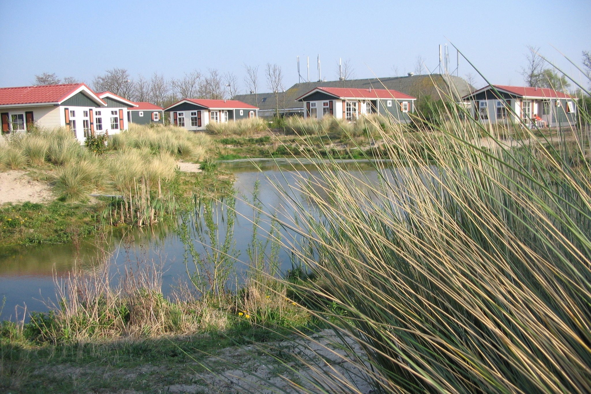 Leuk chalet met vaatwasser, gelegen op Texel
