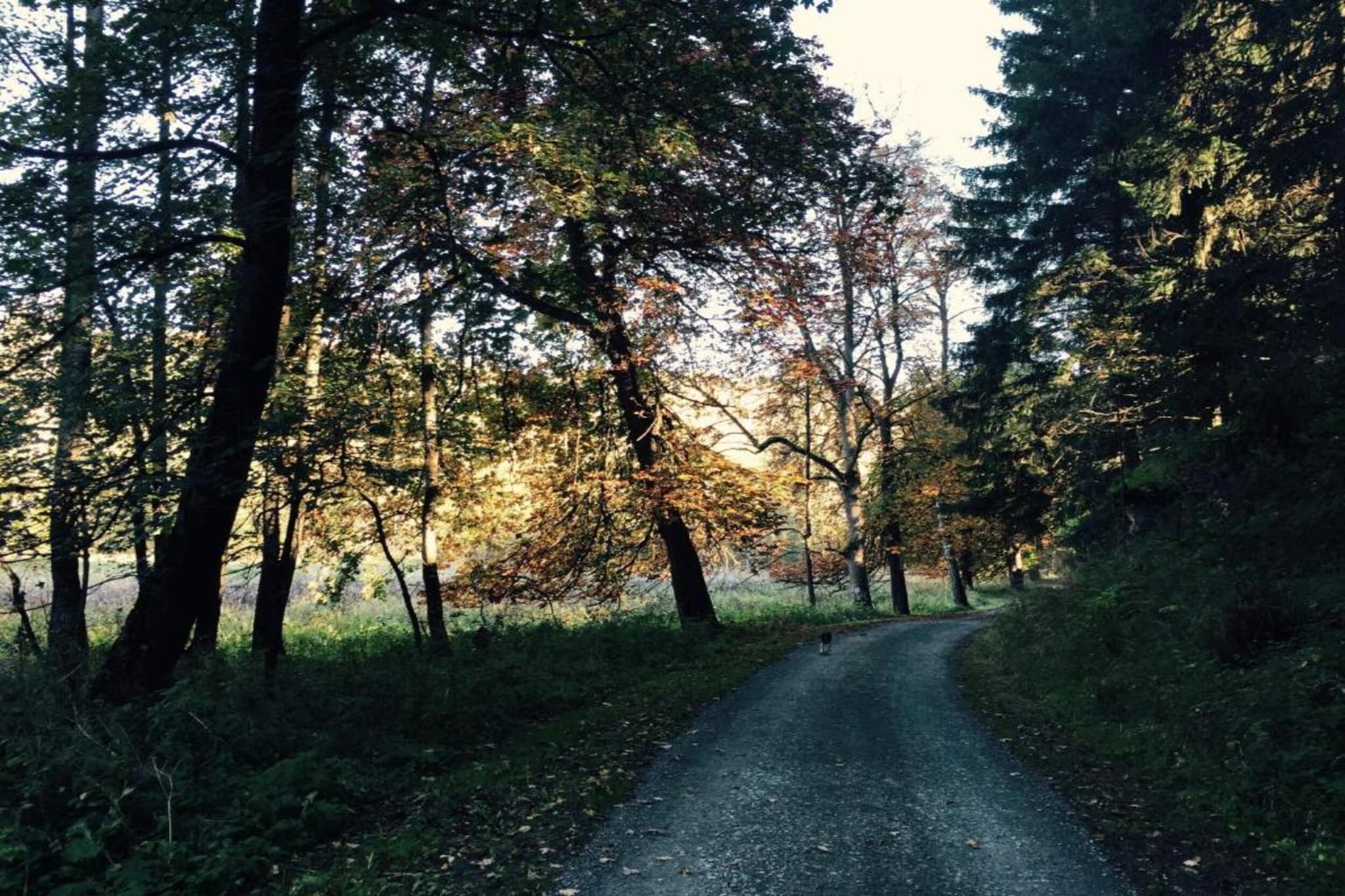 Der alte Kutscherhof-Zones d'été à 20 km