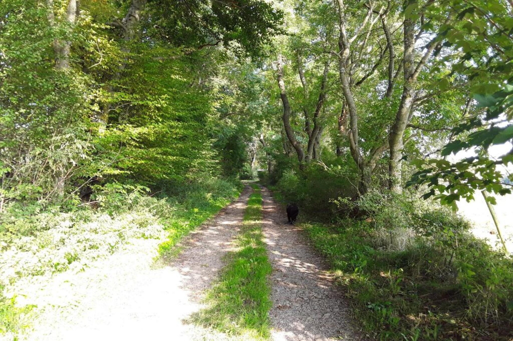 Morsbacher Hof II-Gebieden zomer 20km