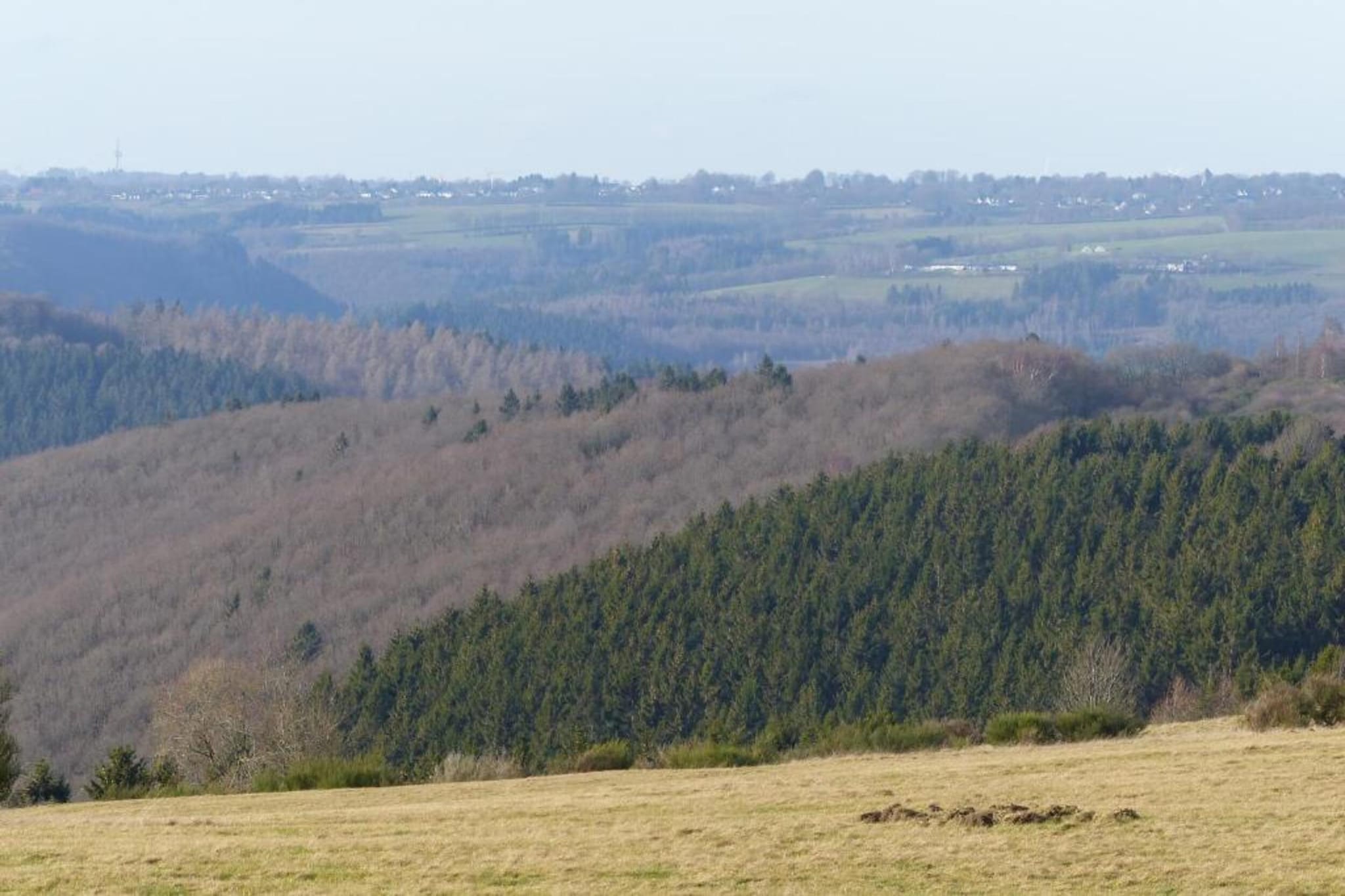 Morsbacher Hof III-Gebieden zomer 20km