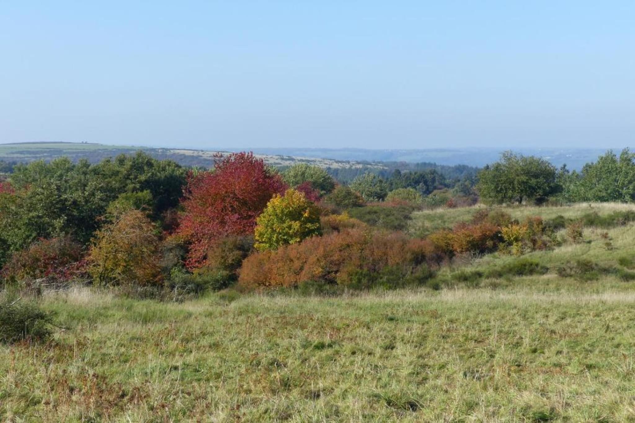 Morsbacher Hof III-Gebieden zomer 20km