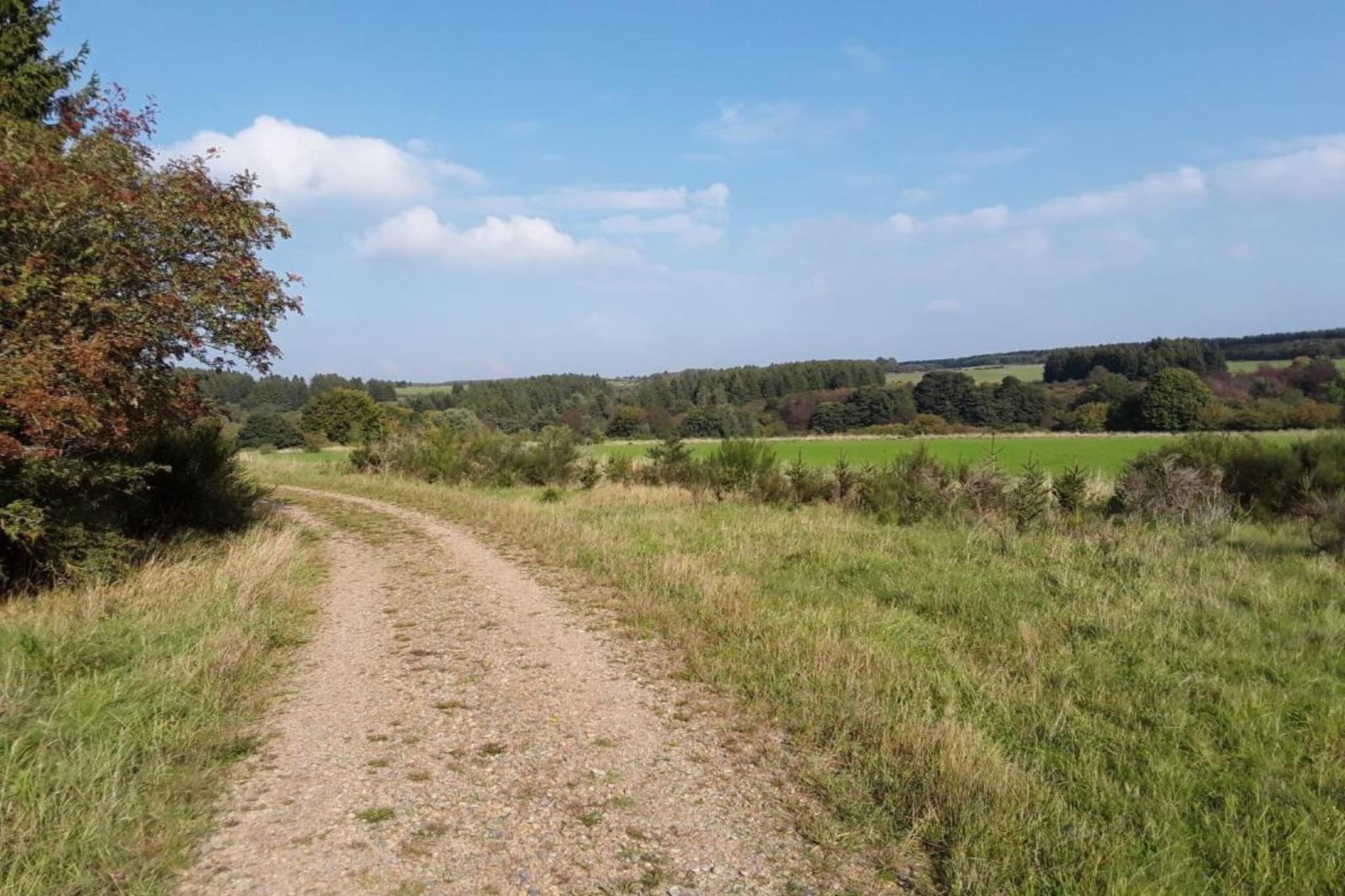 Morsbacher Hof III-Gebieden zomer 20km
