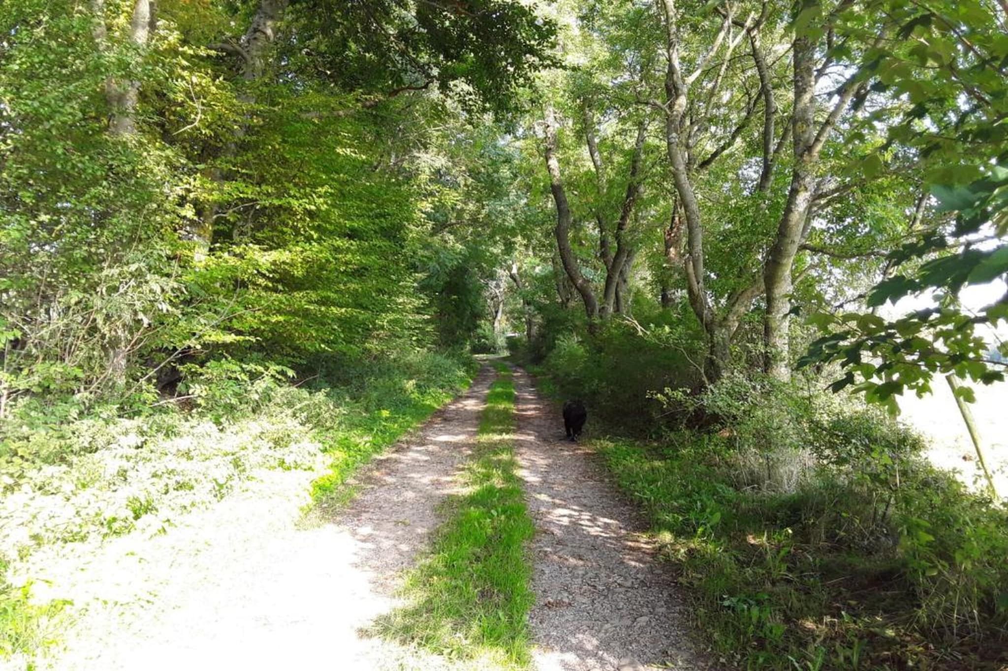 Morsbacher Hof III-Gebieden zomer 20km