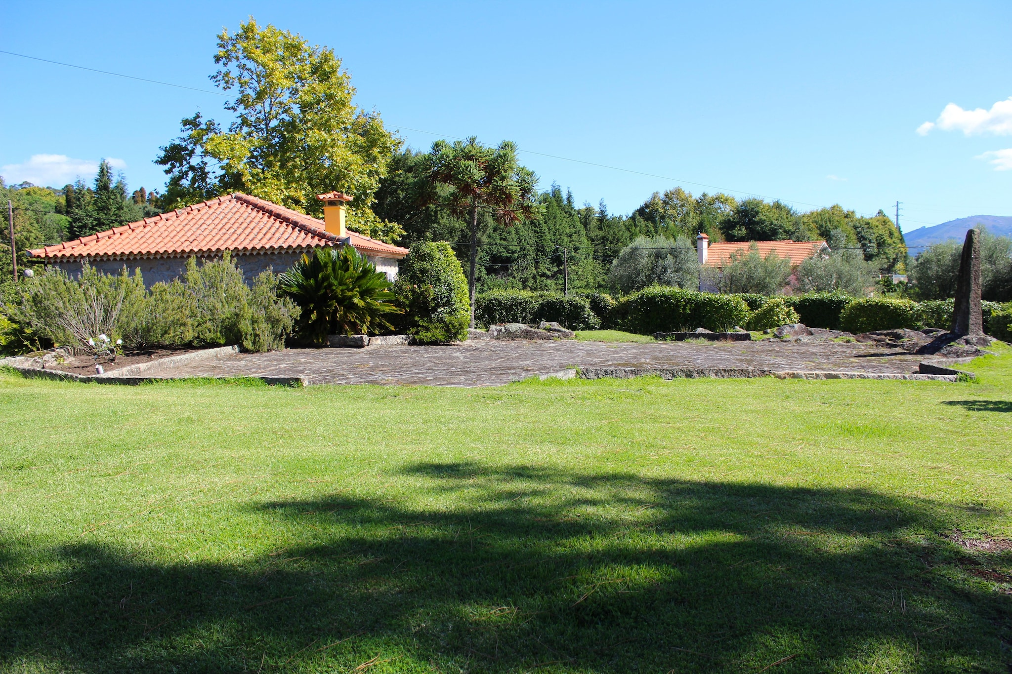 Garden Summer
