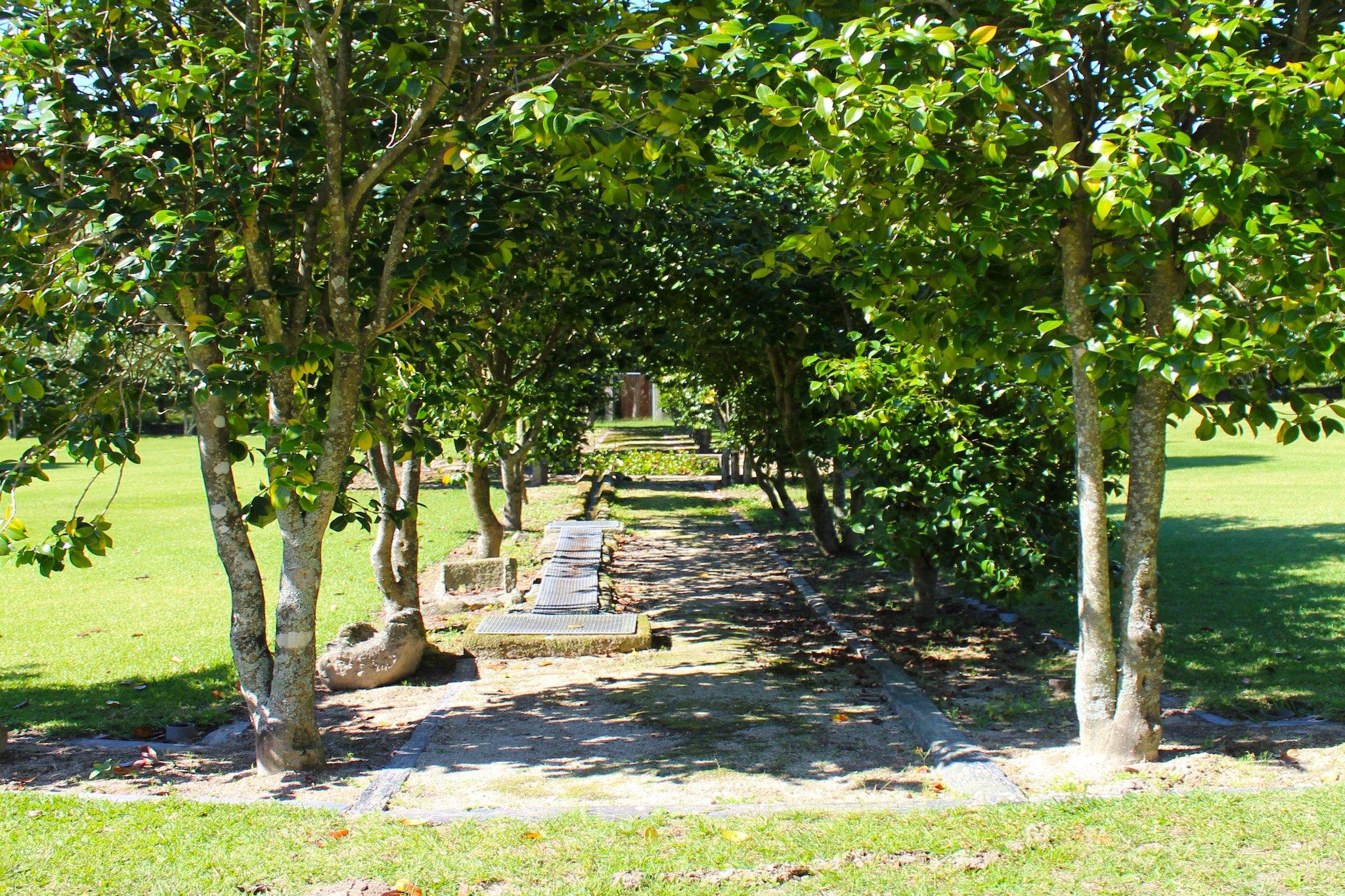 Garden Summer
