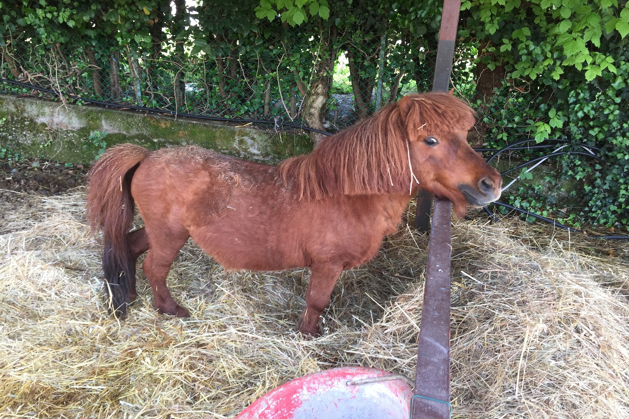 Villauno 8323-Ausstattung