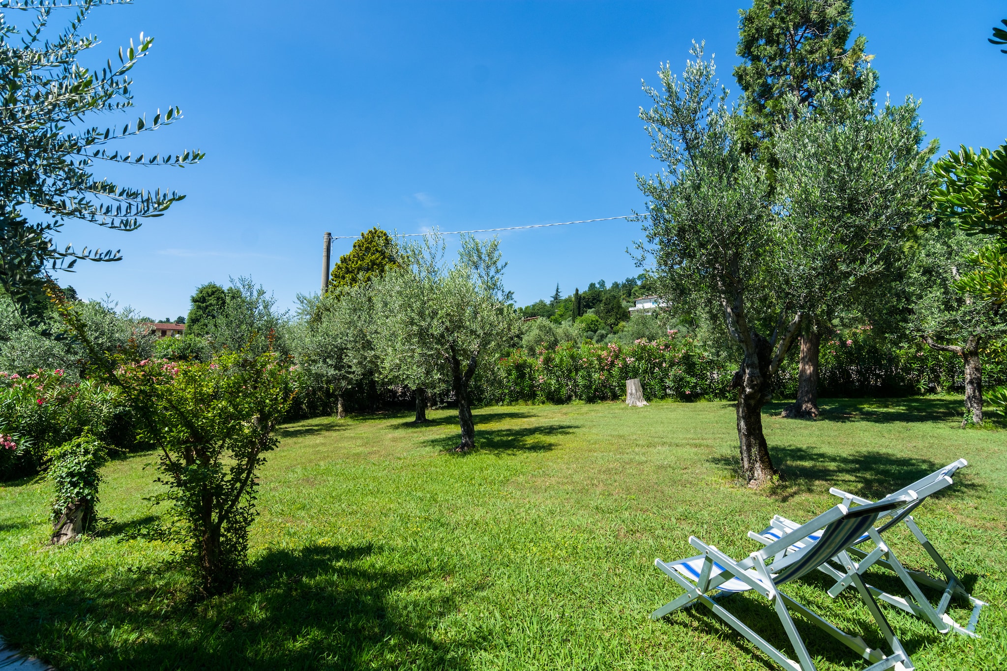 Villauno 8323-Garten Sommer