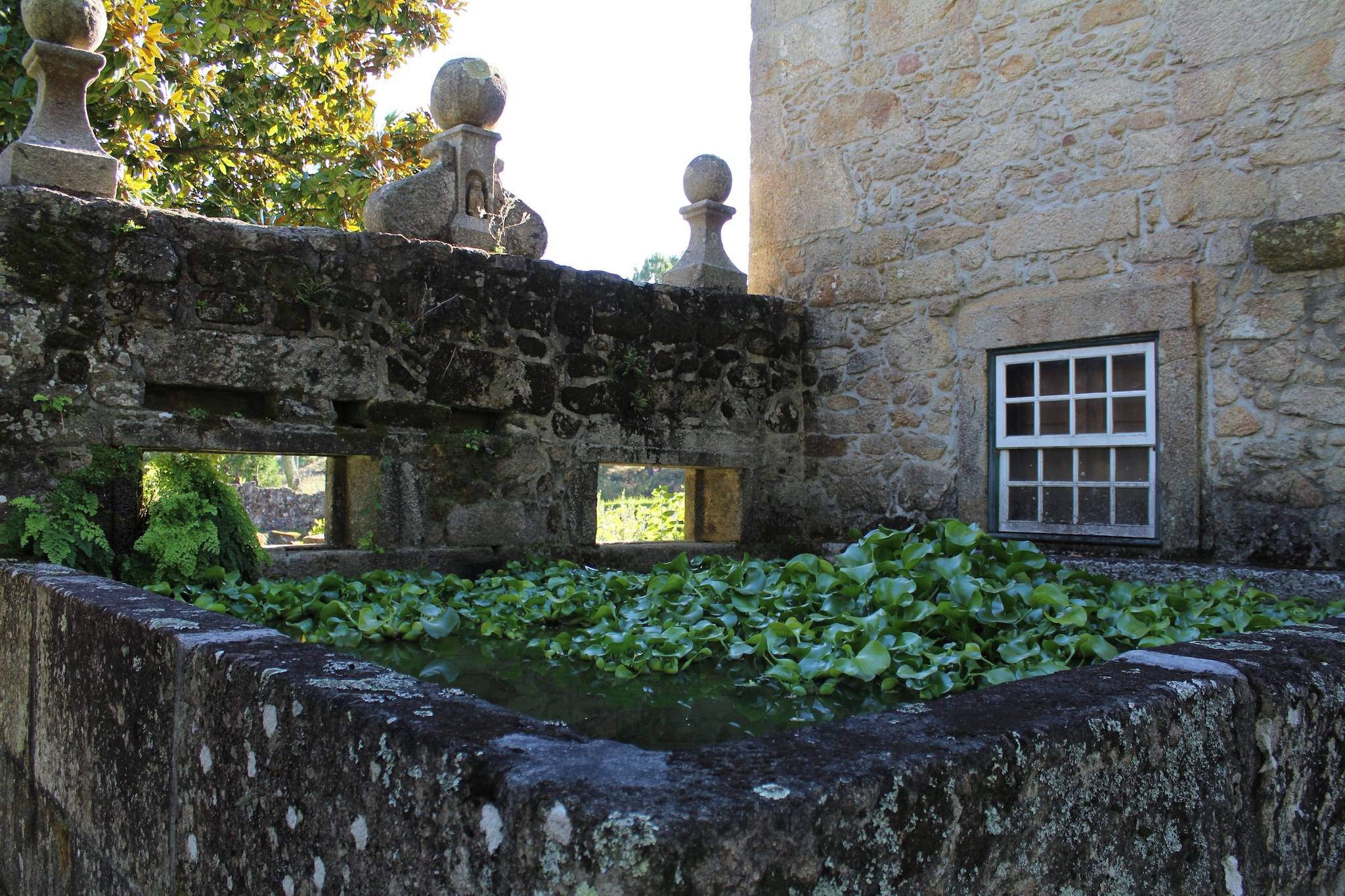 Garden Summer
