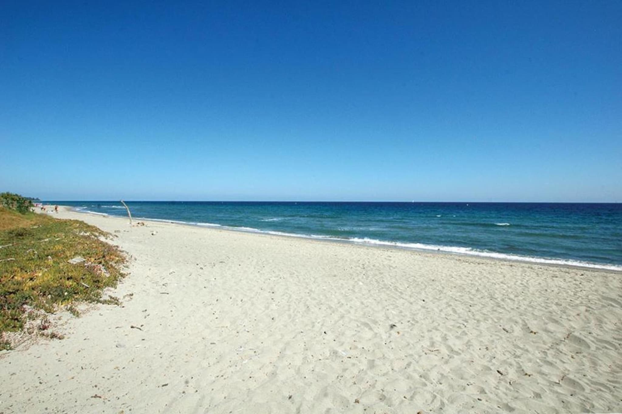 Résidence le Maquis Plage Type 1-Areas summer 1km