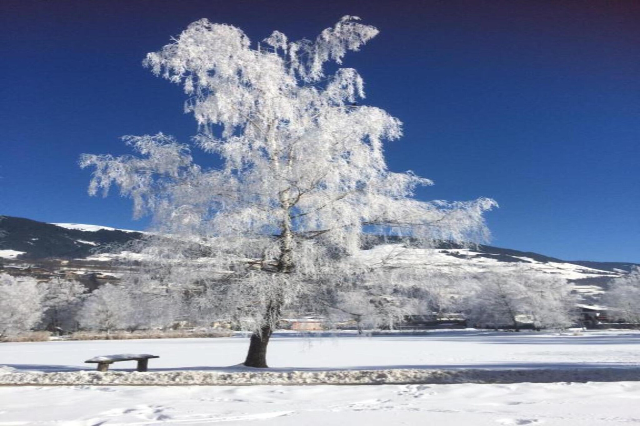 Oberkranzhof xl-Gebied winter 20km