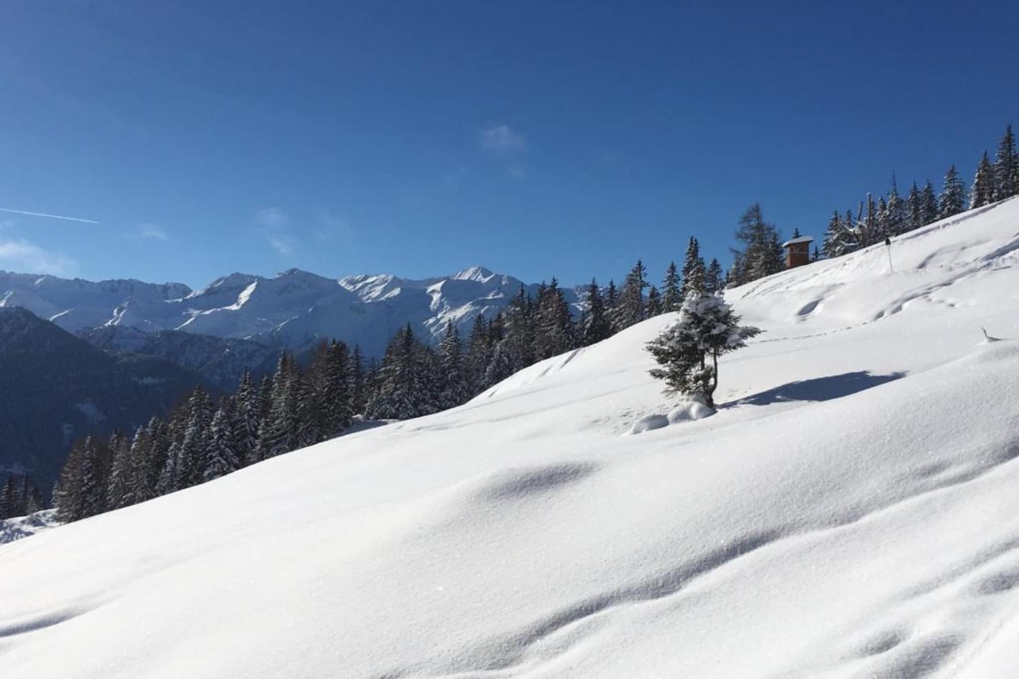 Oberkranzhof xl-Gebied winter 20km