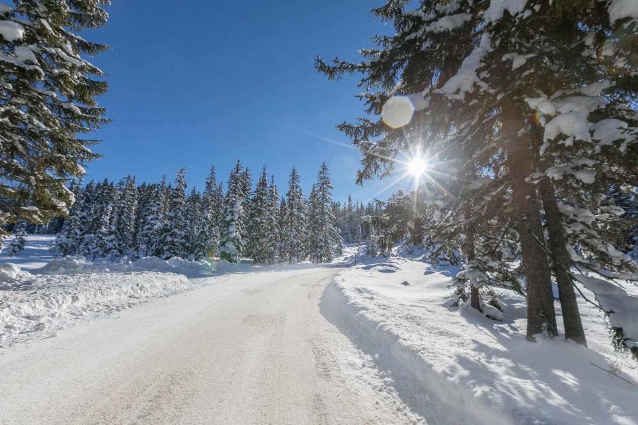 Oberkranzhof xl-Gebied winter 20km