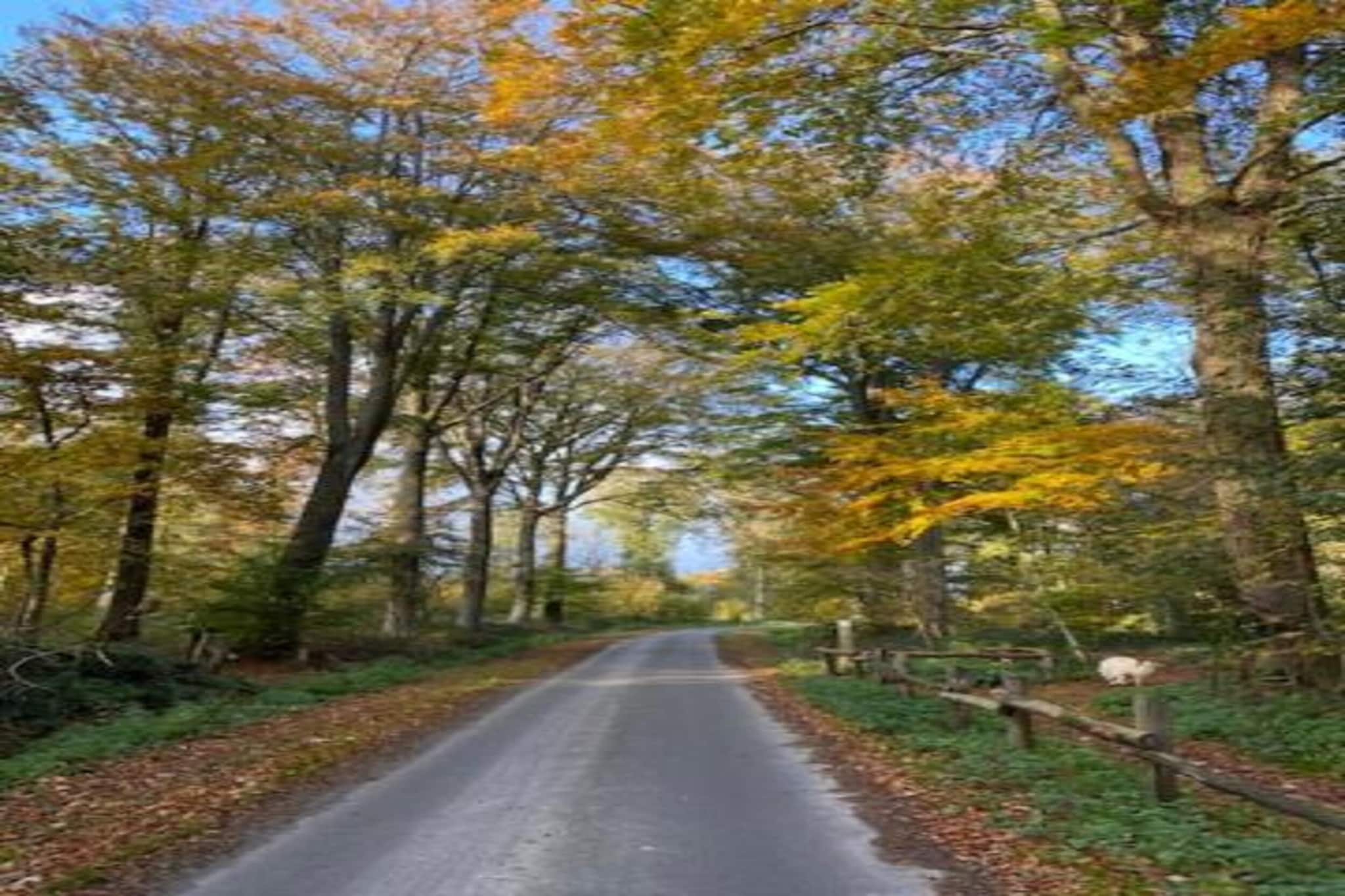 Hommelhove-Gebiete Sommer 20 km