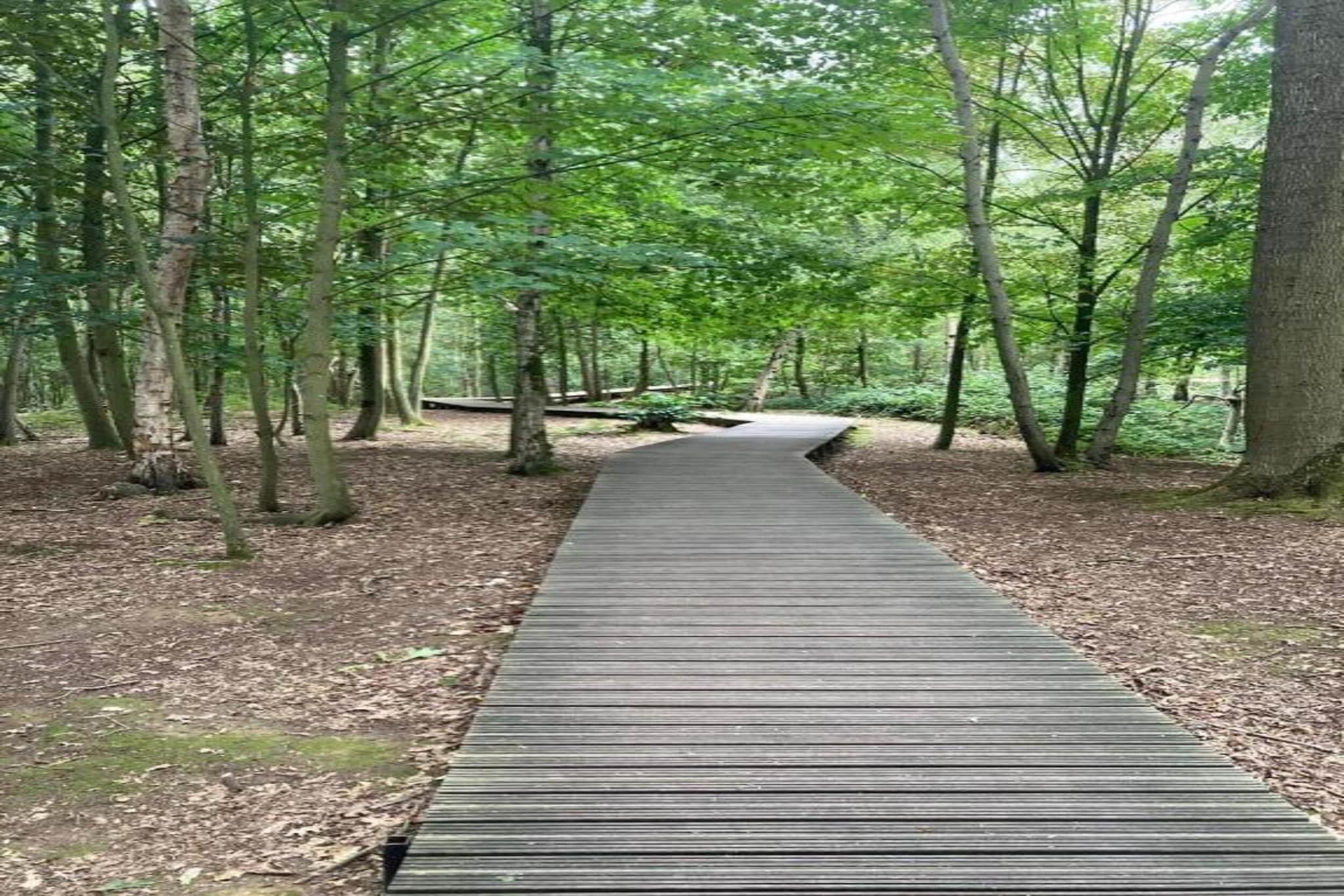 Hommelhove-Gebiete Sommer 20 km