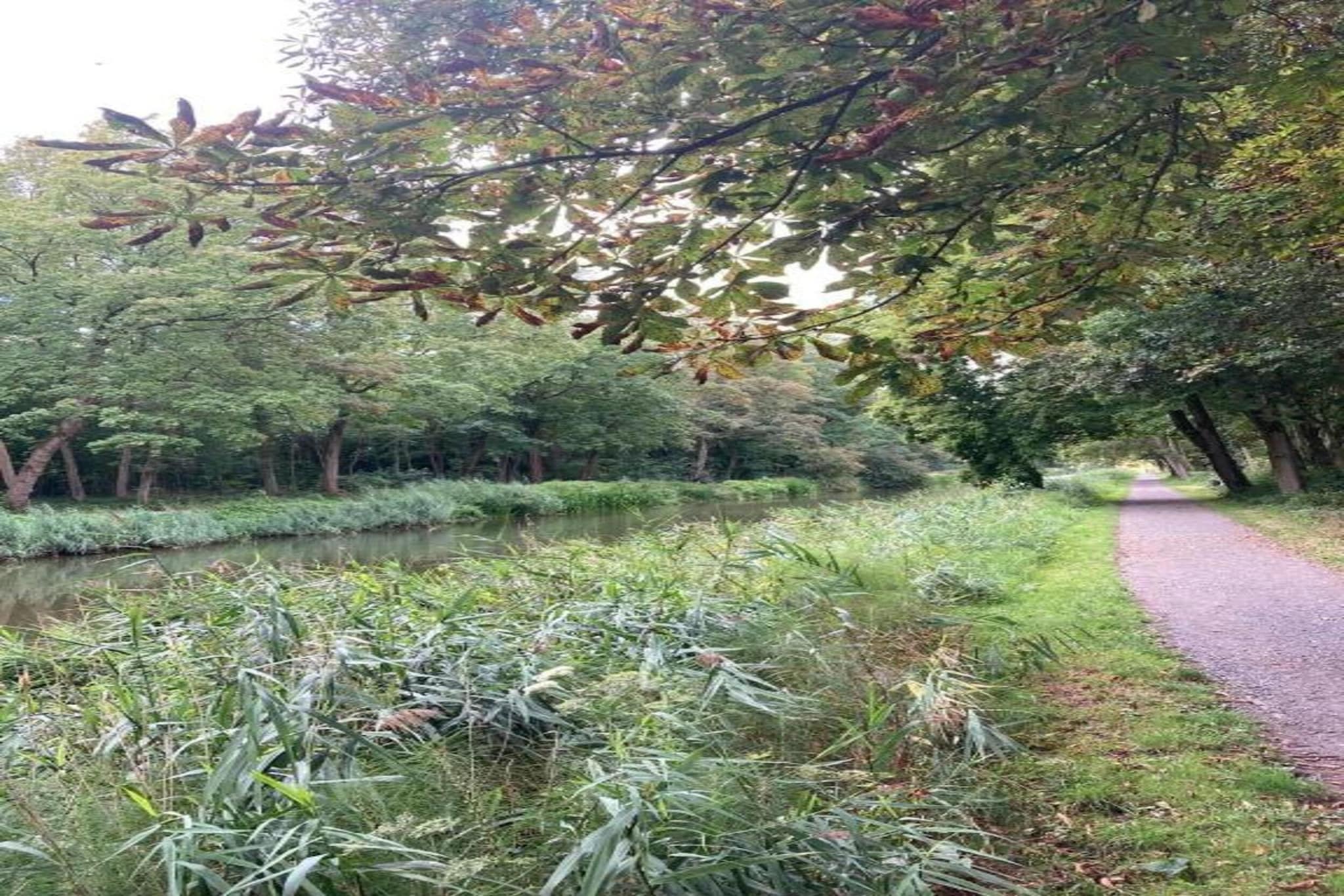 Hommelhove-Gebiete Sommer 20 km