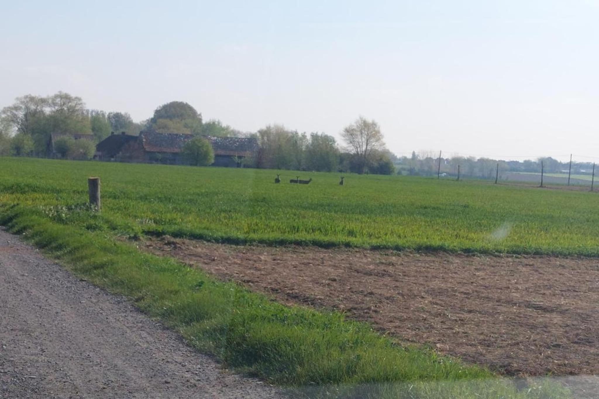 Hommelhove-Gebiete Sommer 20 km