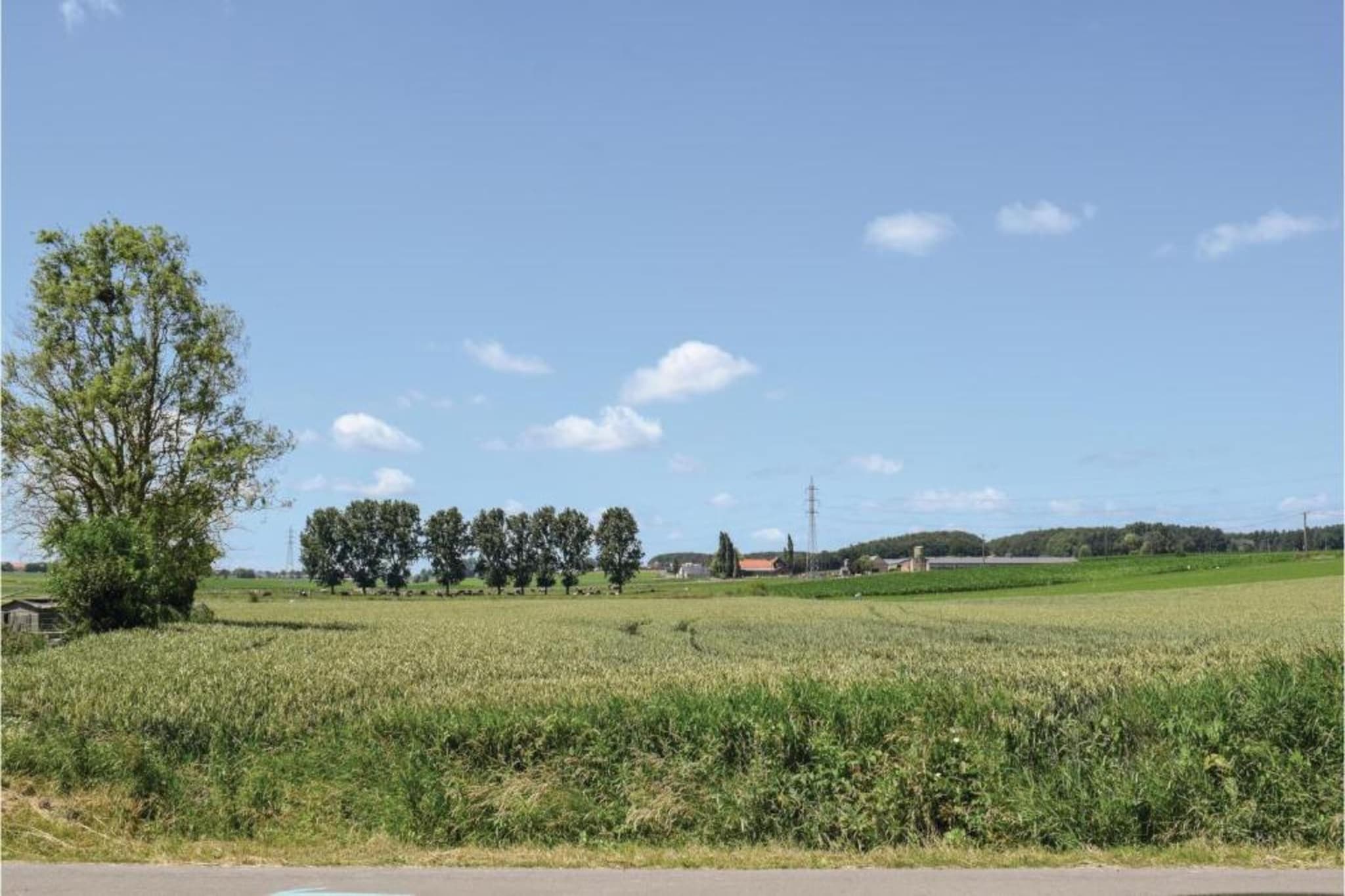 Hommelhove-Gebiete Sommer 20 km