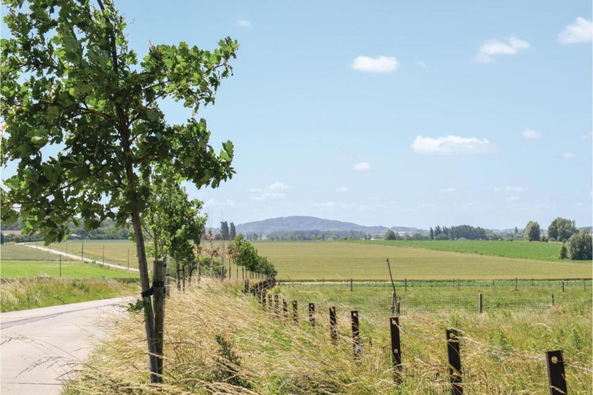 Hommelhove-Gebiete Sommer 20 km
