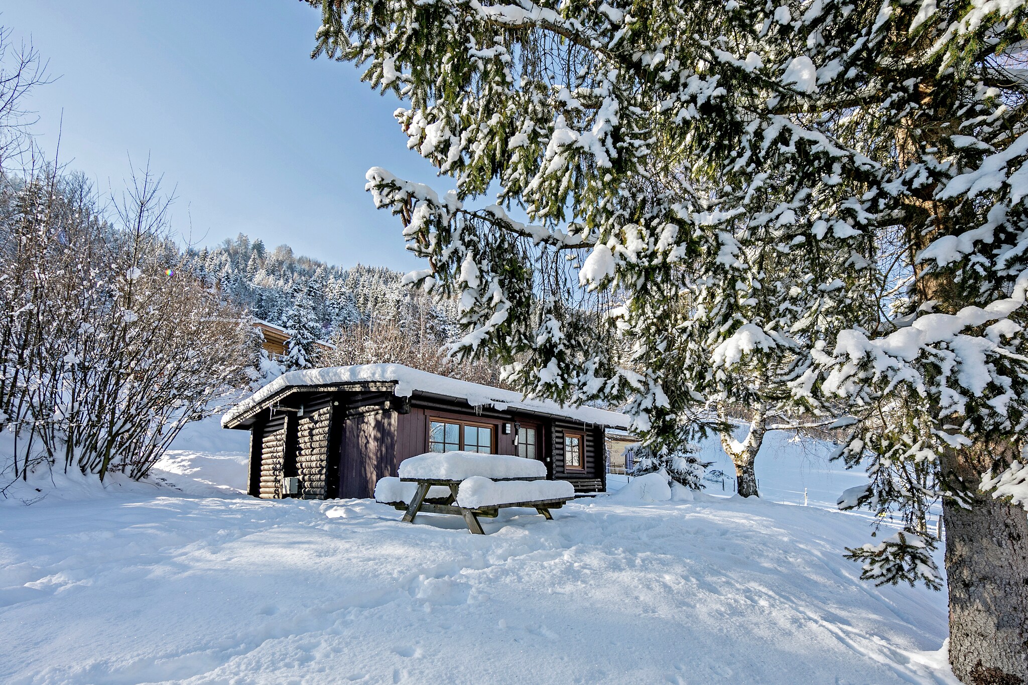 Chalet near Ski slopes in Worgl