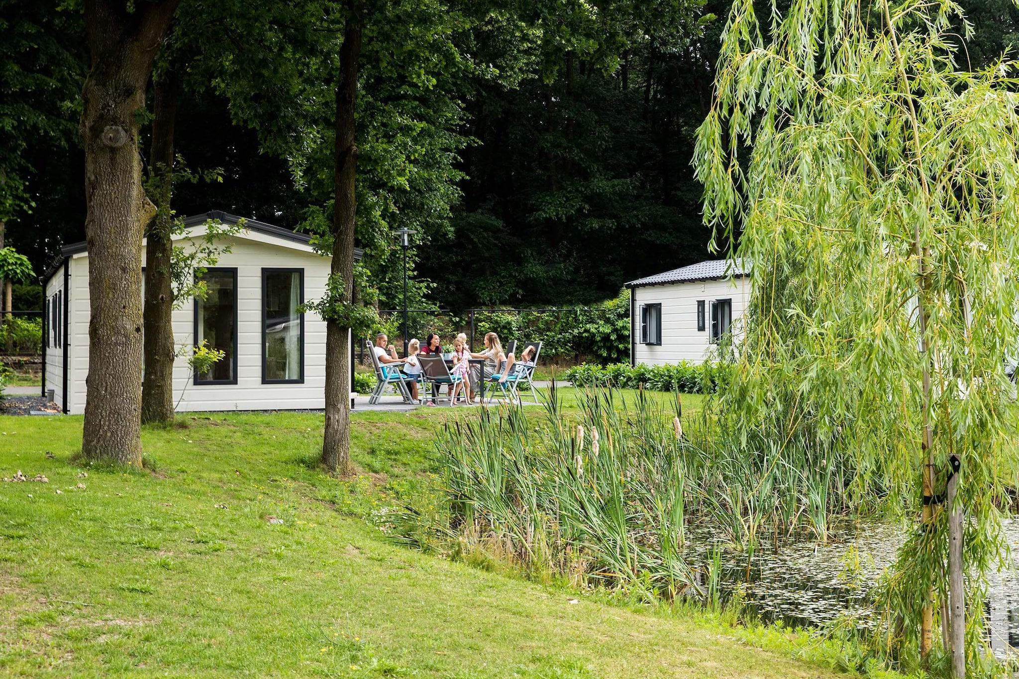 Chalet met wifi, in de natuur van de Veluwwe