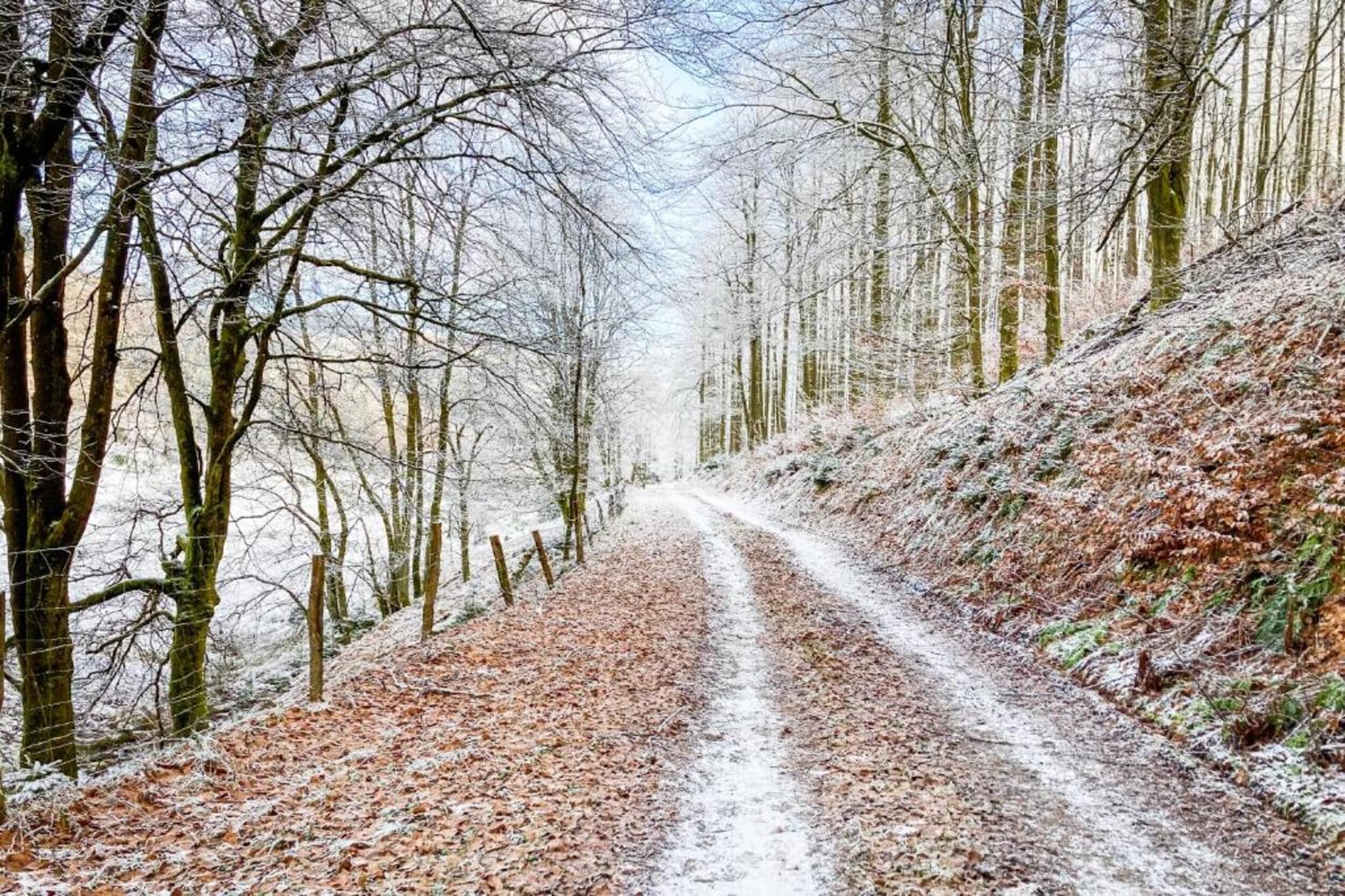 Am Astenberg-Gebied winter 5km