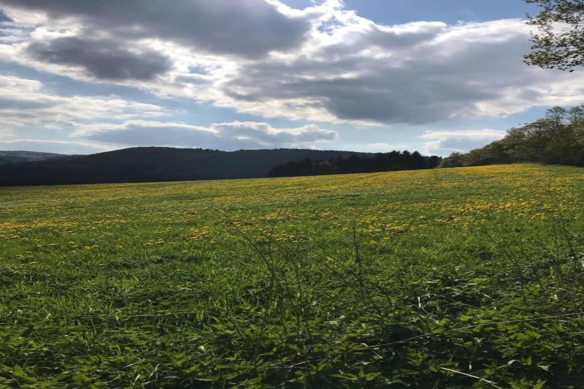 Am Astenberg