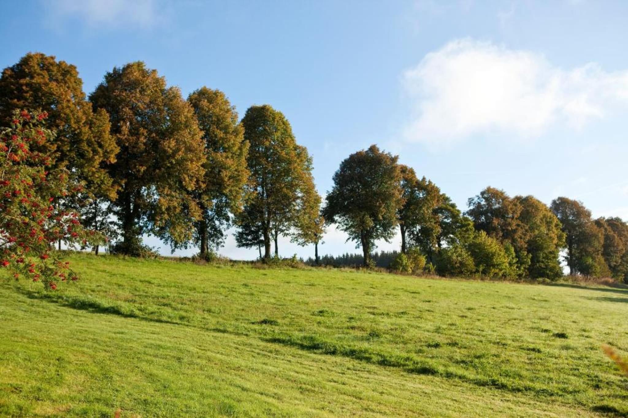 Am Astenberg-Gebieden zomer 5km