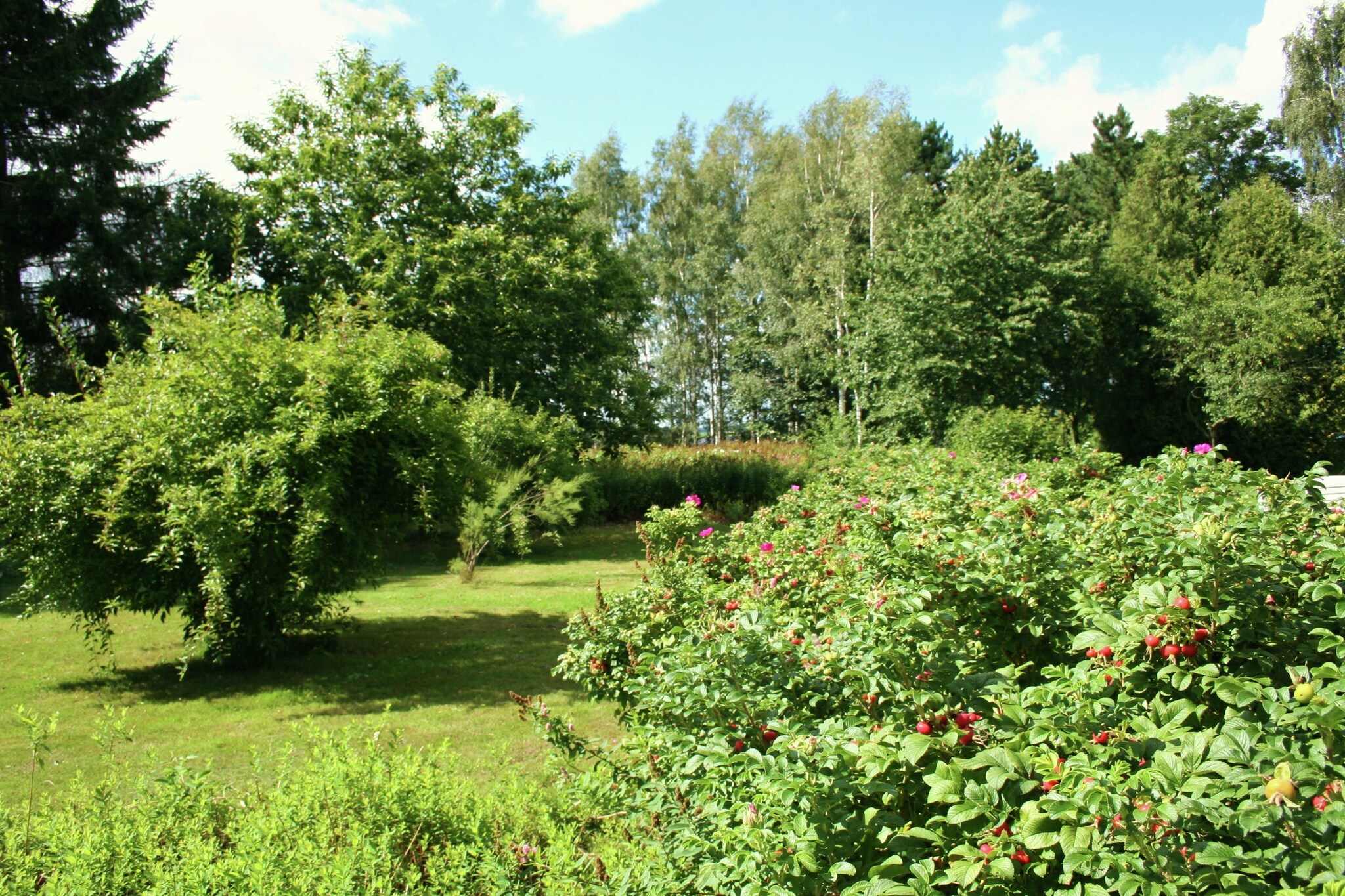 Vakantiehuis Froidchapelle max. 4 personen 2 huisdieren 2 slaapkamers #35