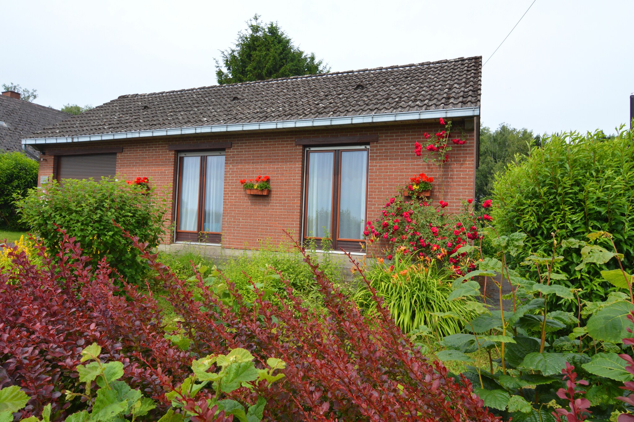 Vakantiehuis Froidchapelle max. 4 personen 2 huisdieren 2 slaapkamers #7