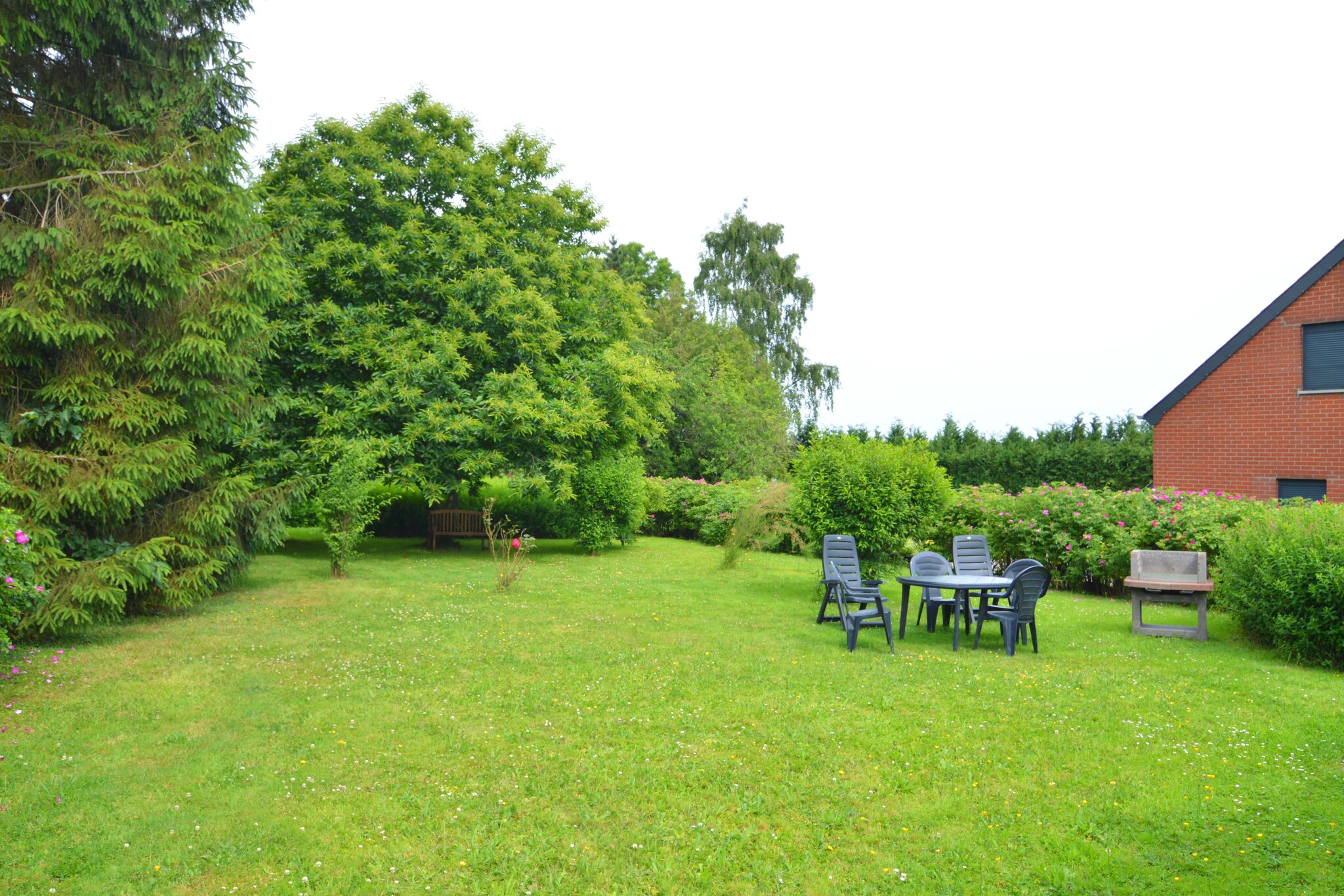 Vakantiehuis Froidchapelle max. 4 personen 2 huisdieren 2 slaapkamers #9