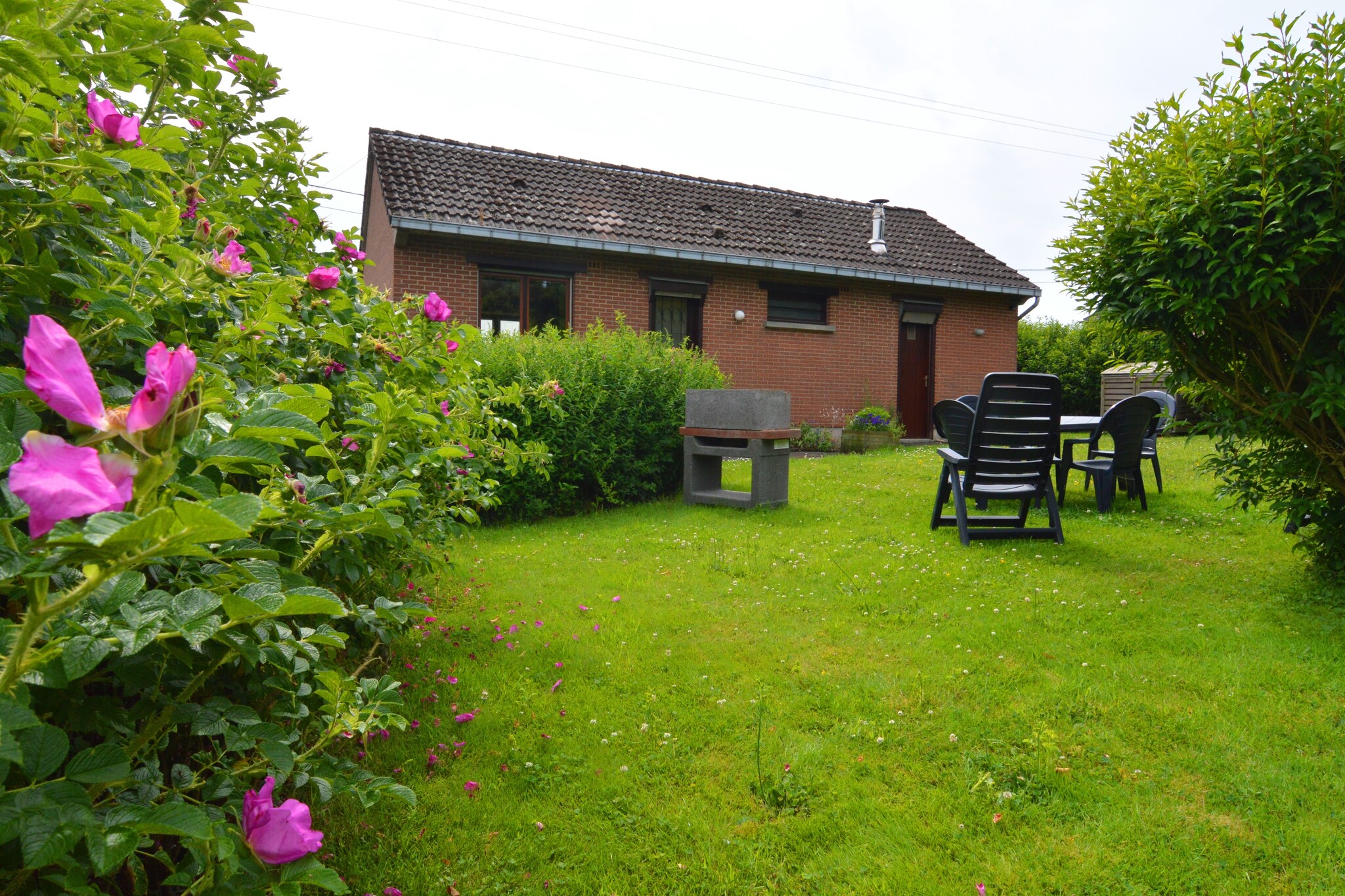 Vakantiehuis Froidchapelle max. 4 personen 2 huisdieren 2 slaapkamers #5
