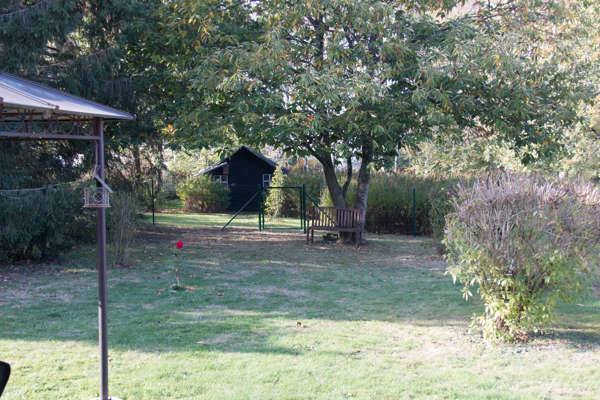 Vakantiehuis Froidchapelle max. 4 personen 2 huisdieren 2 slaapkamers #31