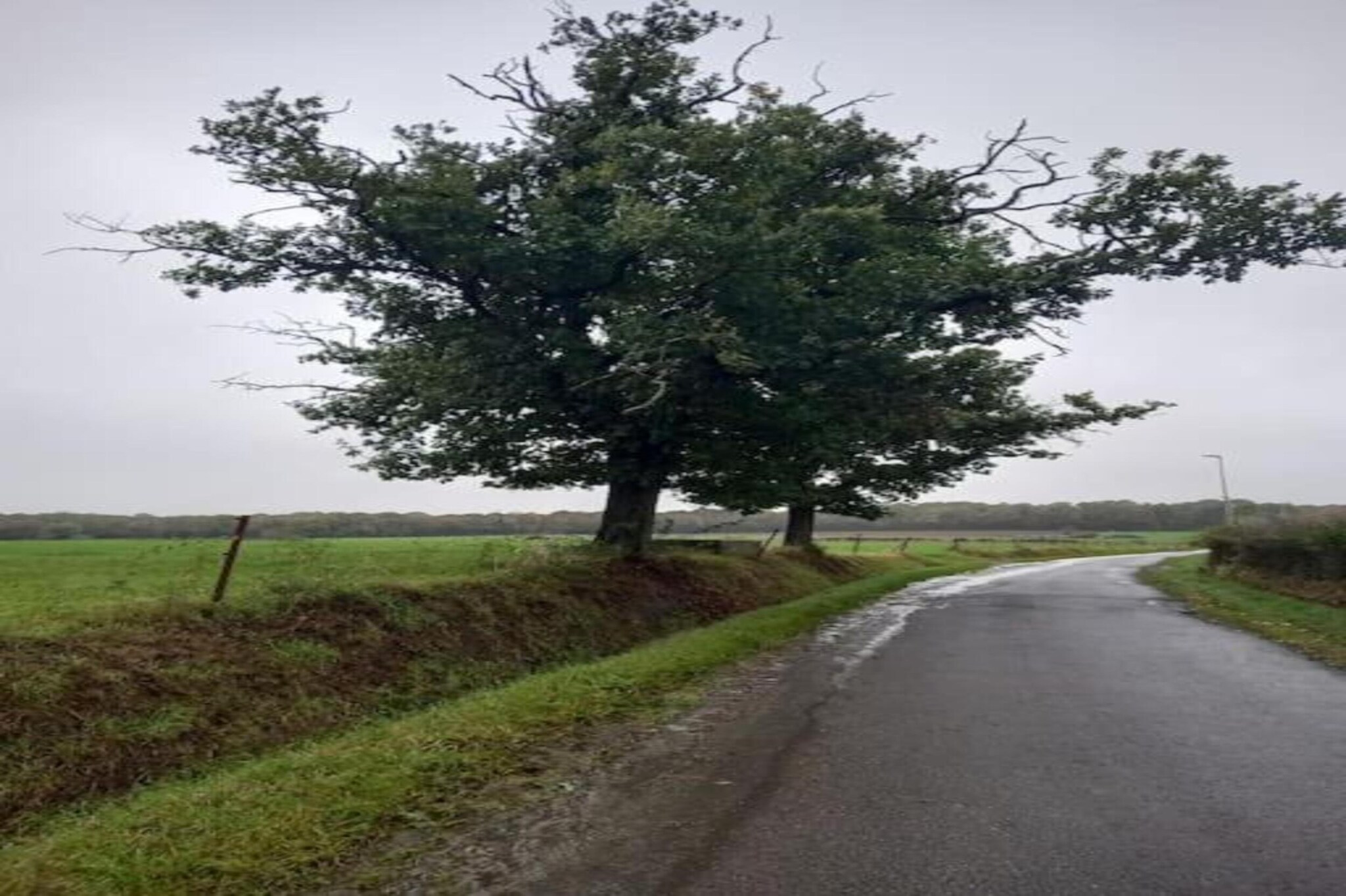 La Pierraille-Gebieden zomer 20km