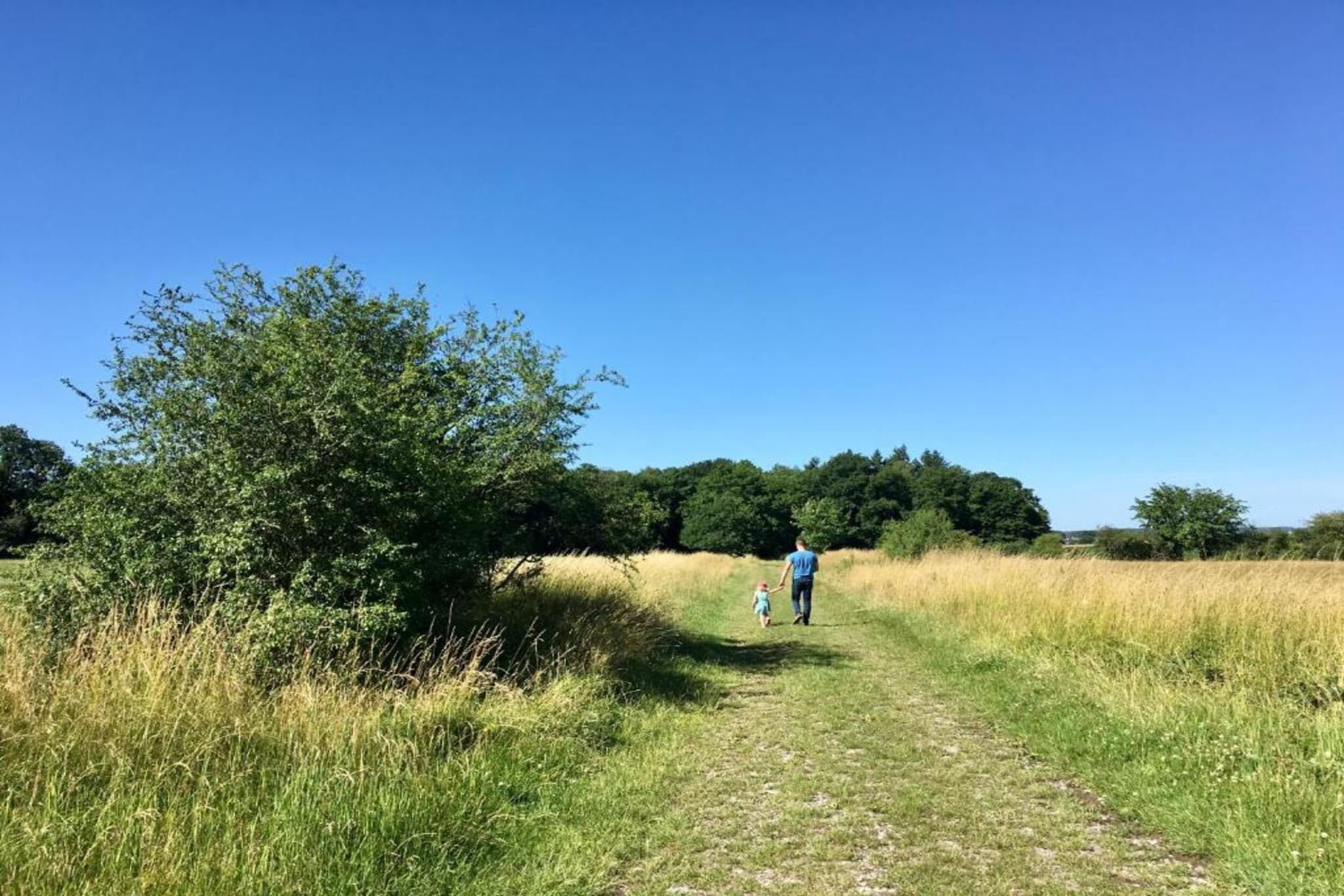 La Pierraille-Gebieden zomer 20km