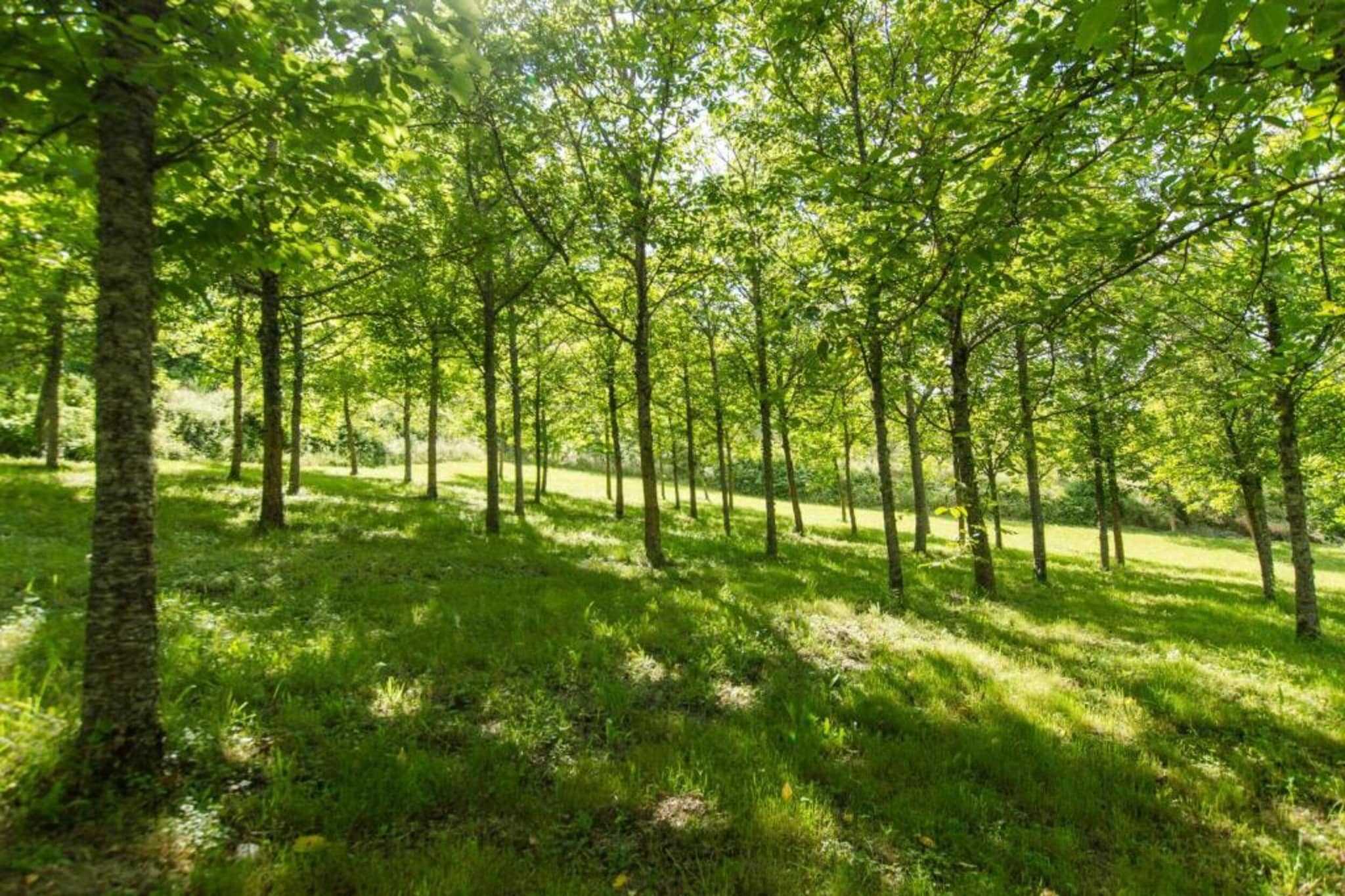 L'Acero-Gebieden zomer 20km