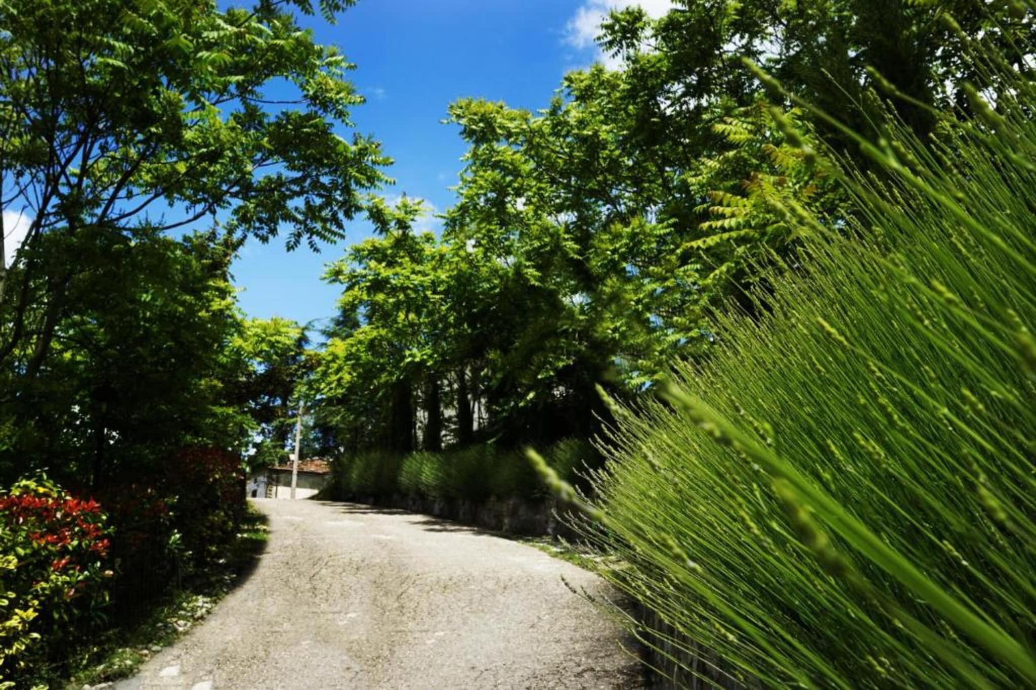 L'Acero-Gebieden zomer 20km