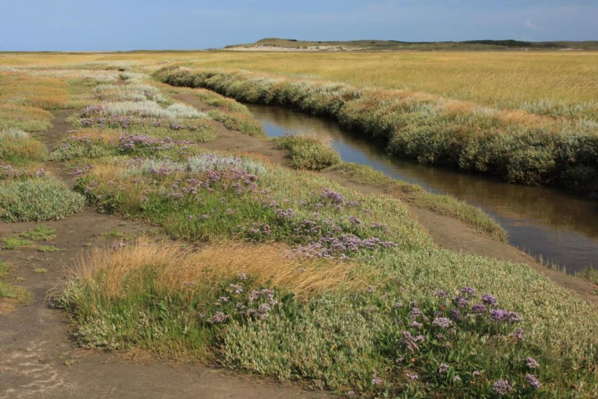Residentie Californië 4-Gebieden zomer 20km
