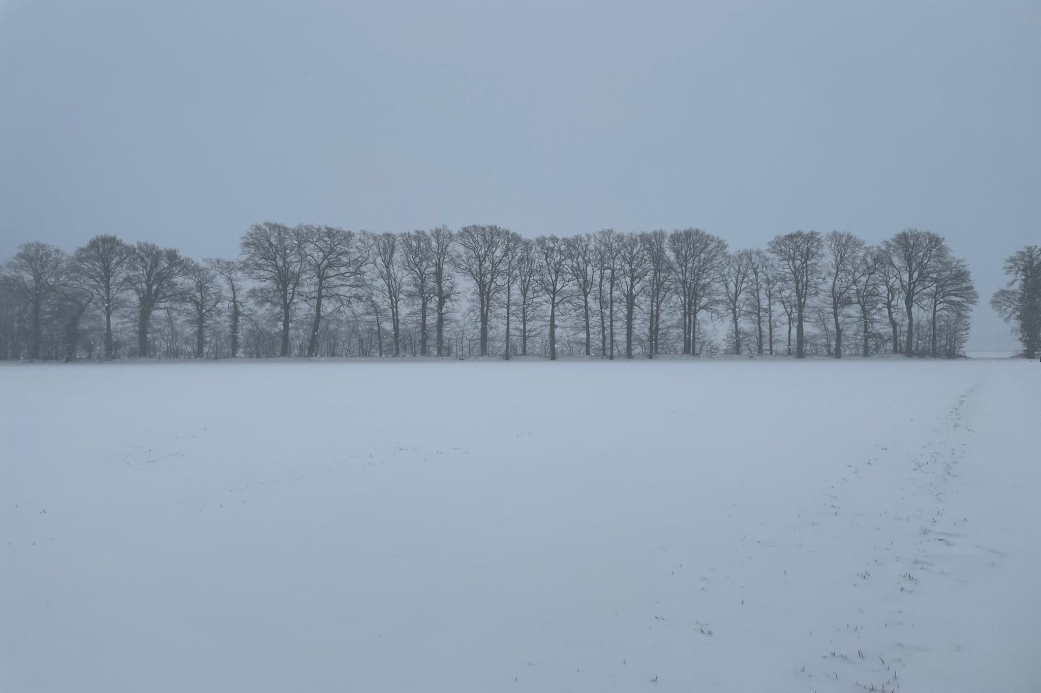 Erve Baak-Gebiet Winter 1 km