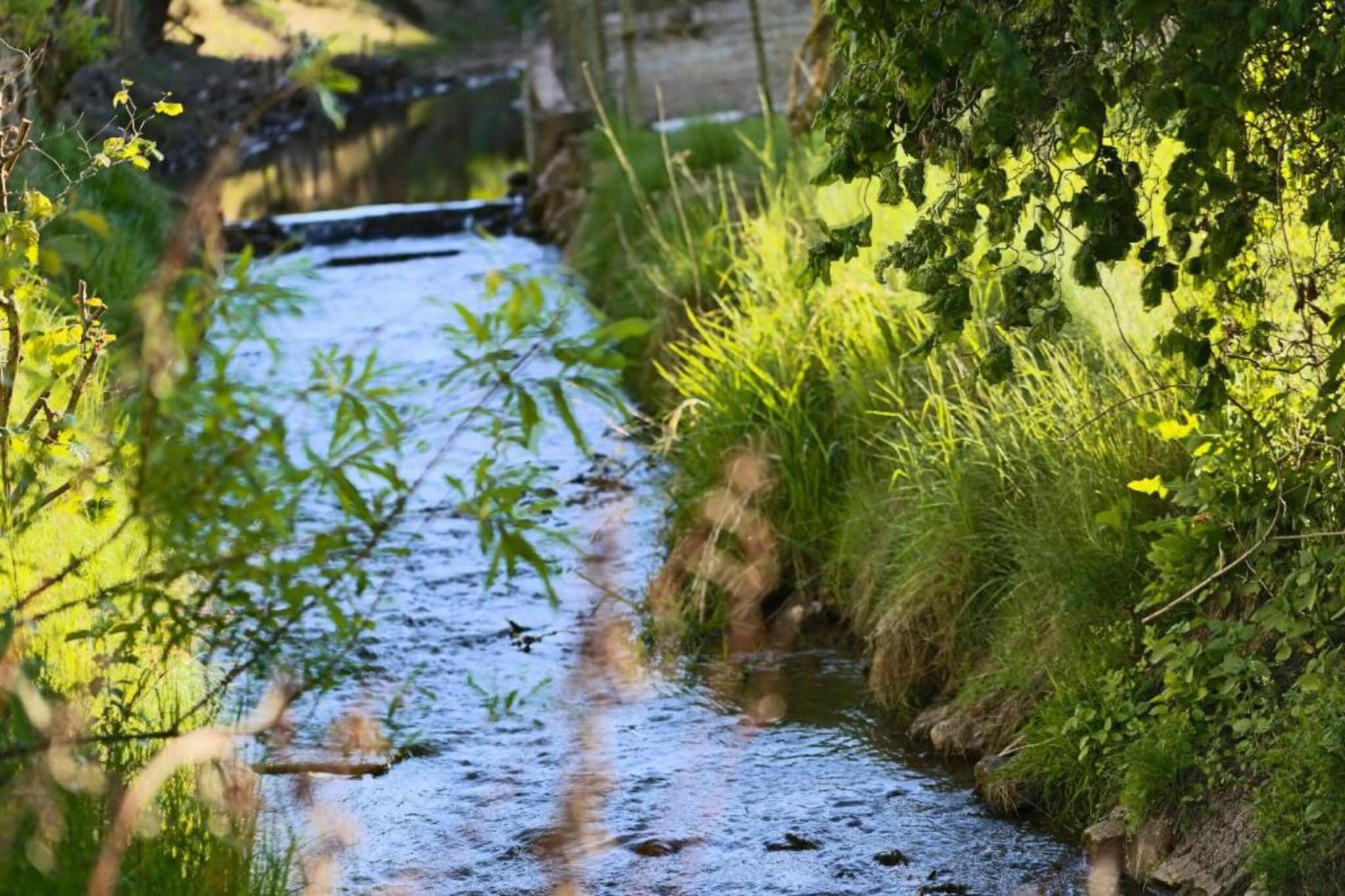 Im Teutoburger Wald-Gebieden zomer 5km