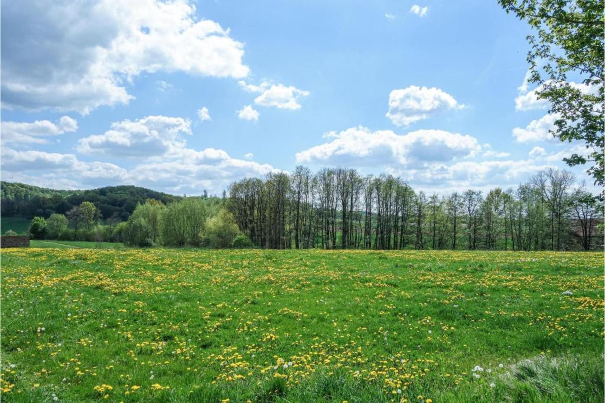 Im Teutoburger Wald-Gebieden zomer 5km