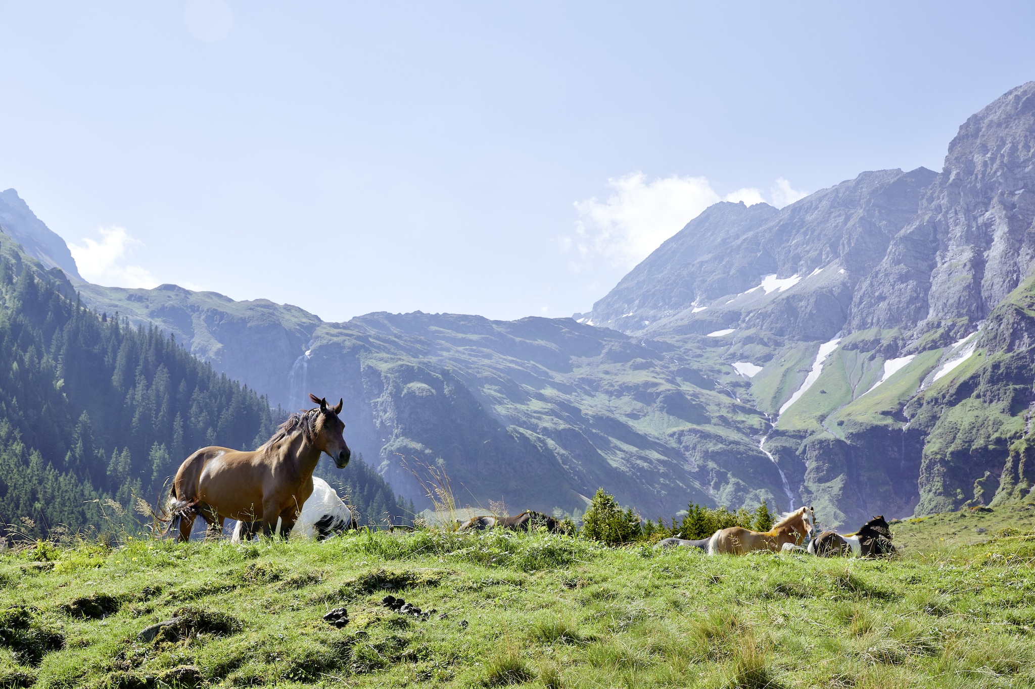 Panorama Chalet 5 - Gebiete Sommer 20 km
