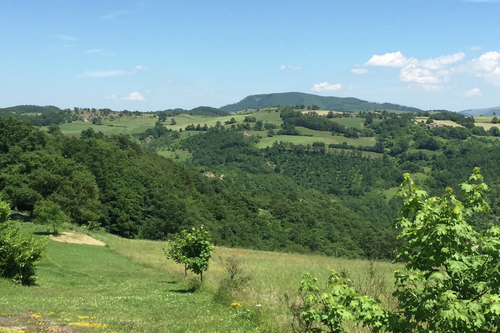 Charmanter Bauernhof in Apecchio mit Swimmingpool